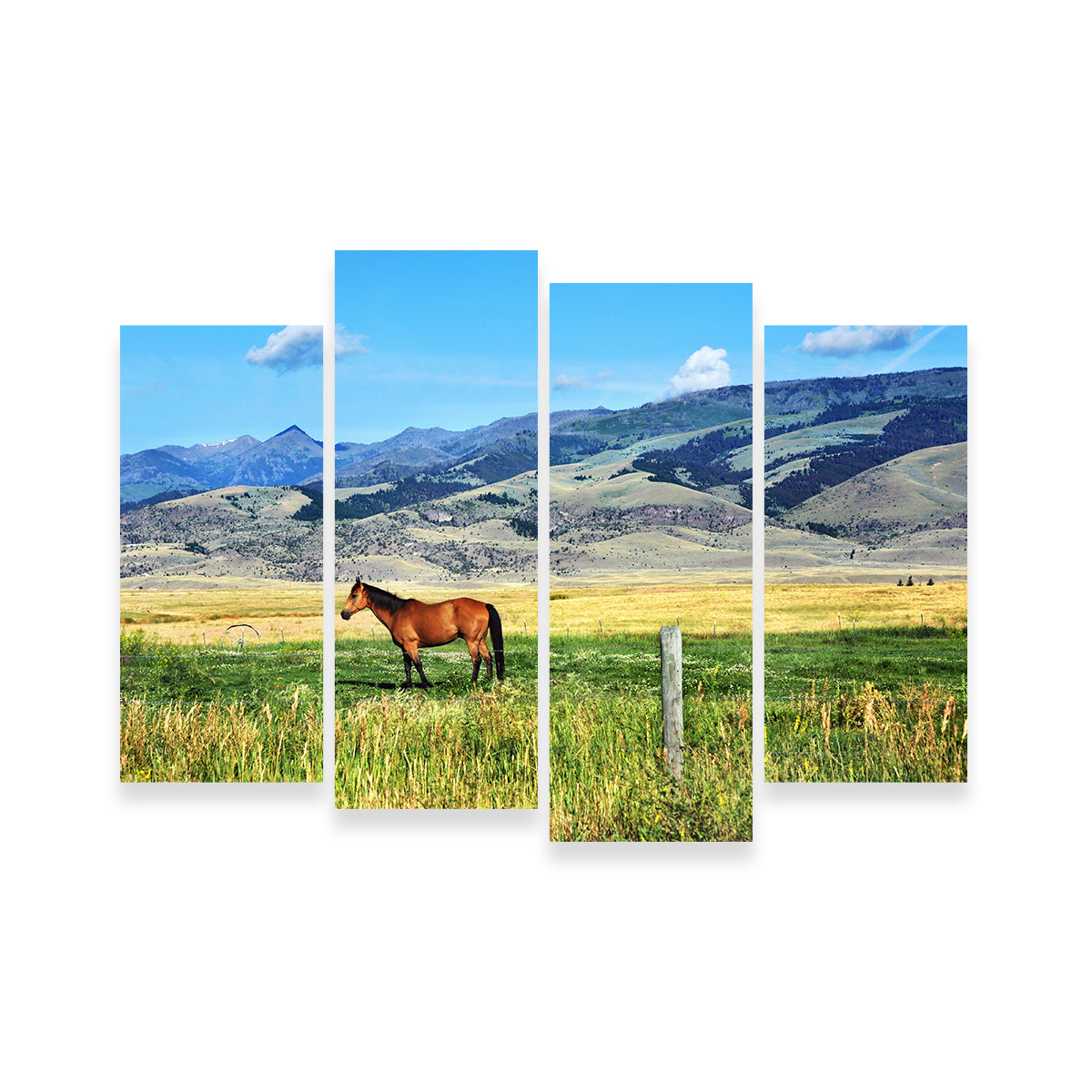 Horse Grazes in Paradise Valley Wall Art
