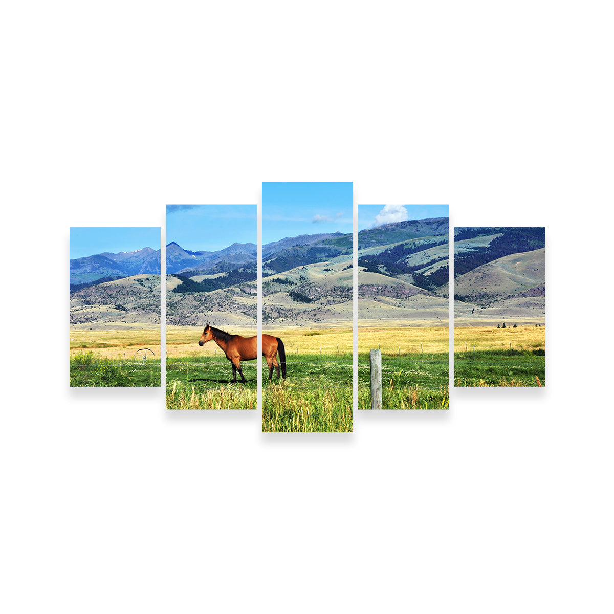 Horse Grazes in Paradise Valley Wall Art