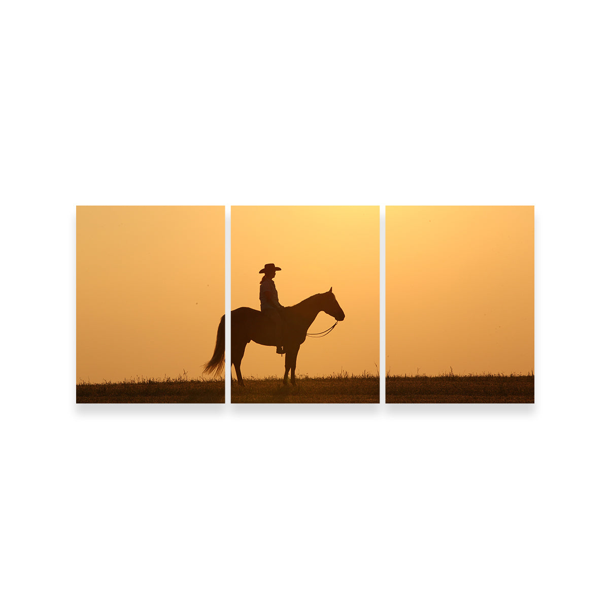 Horse & Cowboy at Sunset Wall Art