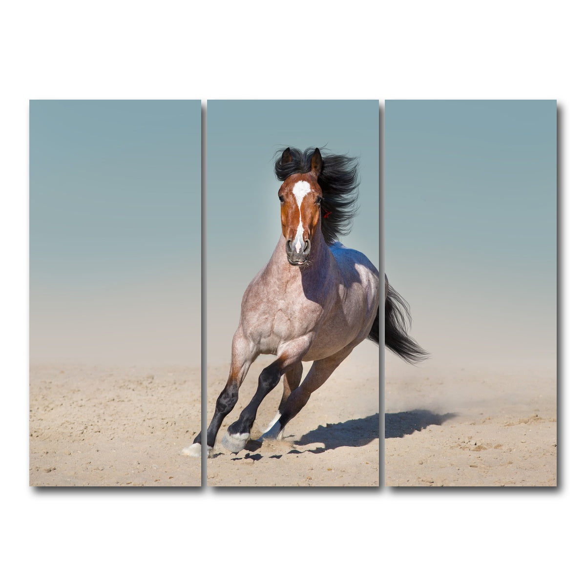 AUTO-MOCKUP WHITE | Horse Desert Run | 3 Piece | Gallery Wrap Canvas | group=8x18