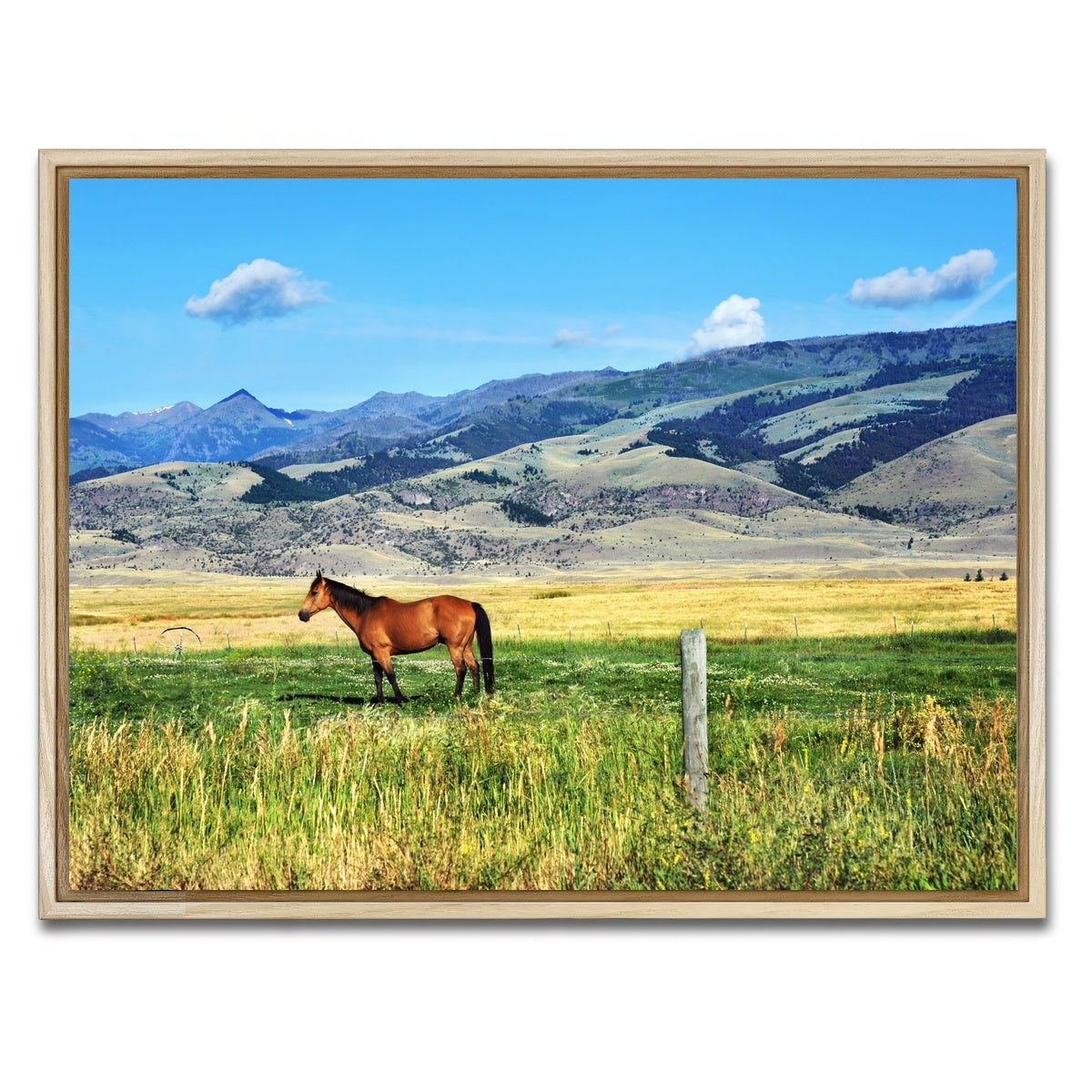 AUTO-MOCKUP WHITE | Horse Grazes in Paradise Valley | 1 Piece | Natural Framed Canvas | group=4x3