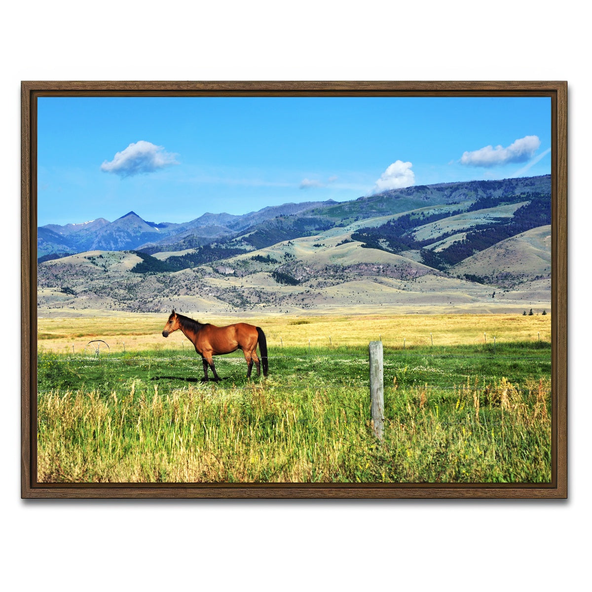 AUTO-MOCKUP WHITE | Horse Grazes in Paradise Valley | 1 Piece | Walnut Framed Canvas | group=4x3