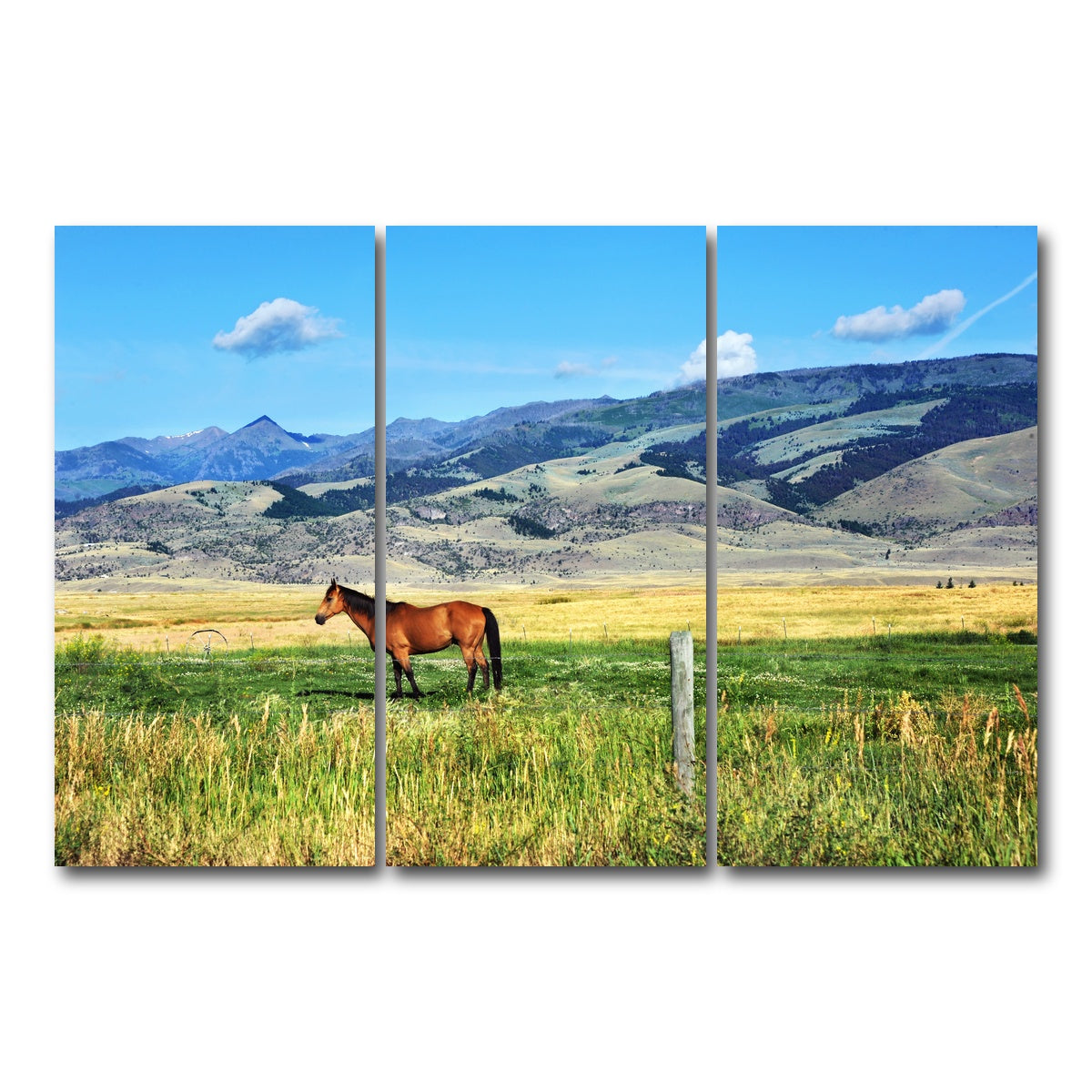 AUTO-MOCKUP WHITE | Horse Grazes in Paradise Valley | 3 Piece | Gallery Wrap Canvas | group=12x24