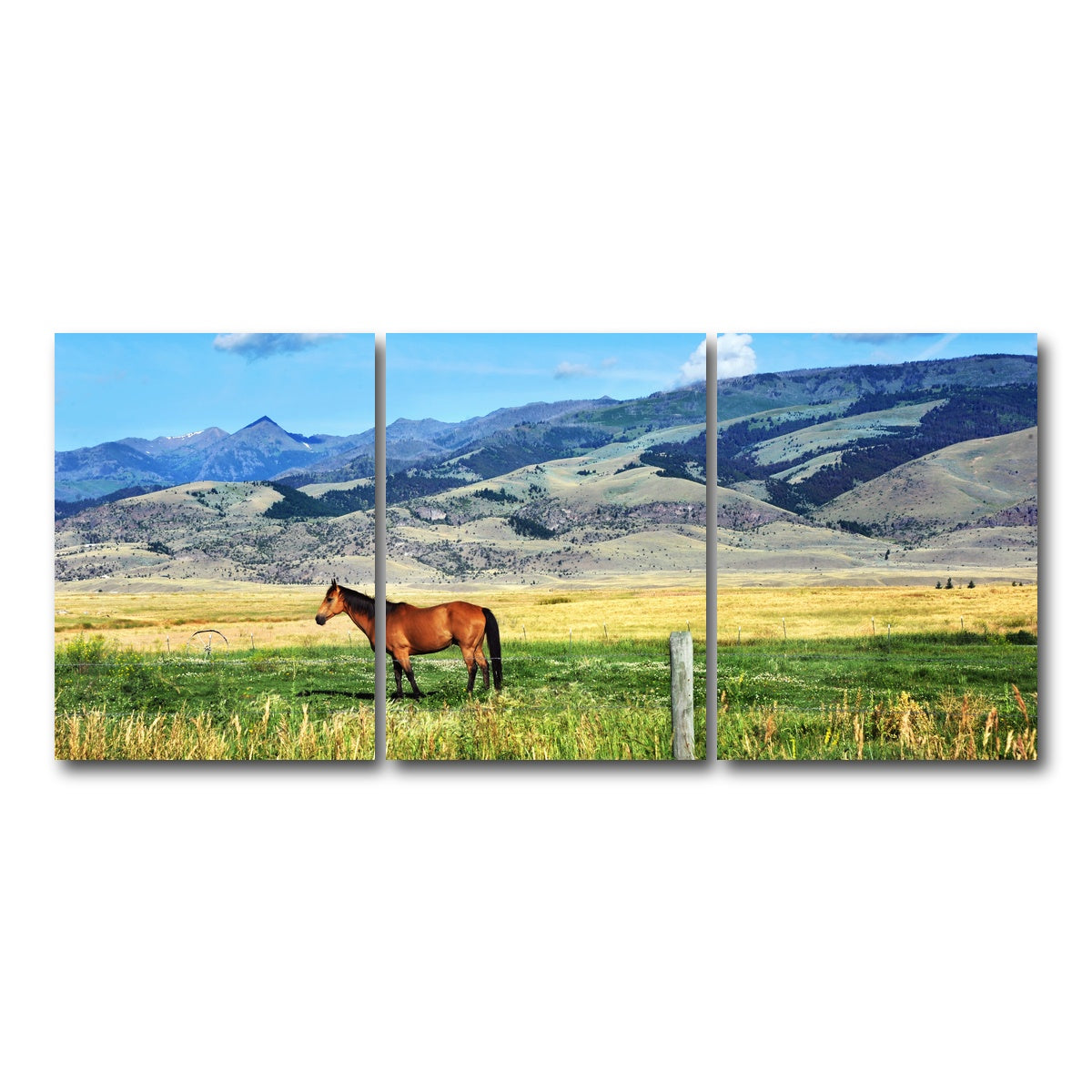 AUTO-MOCKUP WHITE | Horse Grazes in Paradise Valley | 3 Piece | Gallery Wrap Canvas | group=18x24