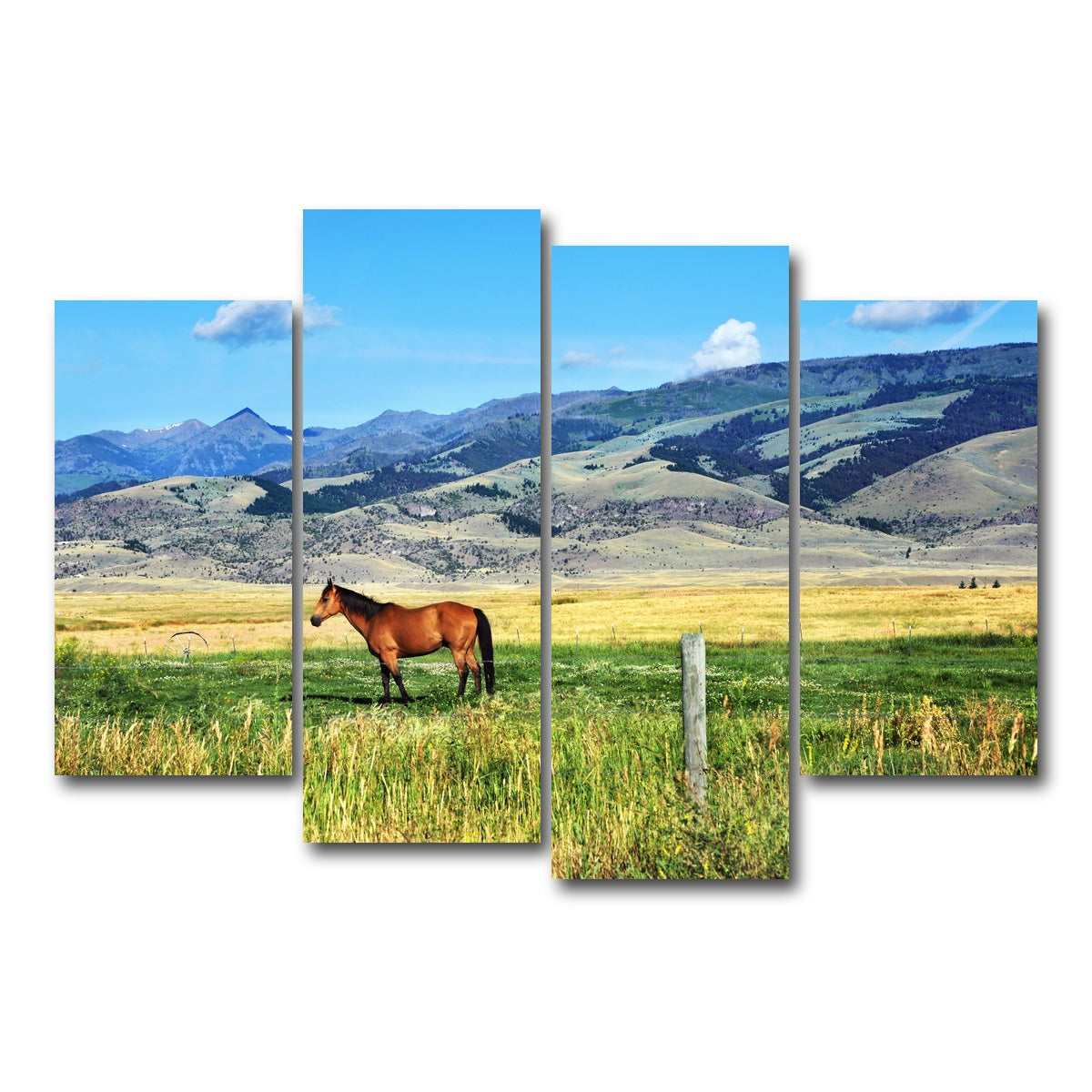 AUTO-MOCKUP WHITE | Horse Grazes in Paradise Valley | 4 Piece | Gallery Wrap Canvas | group=4_short