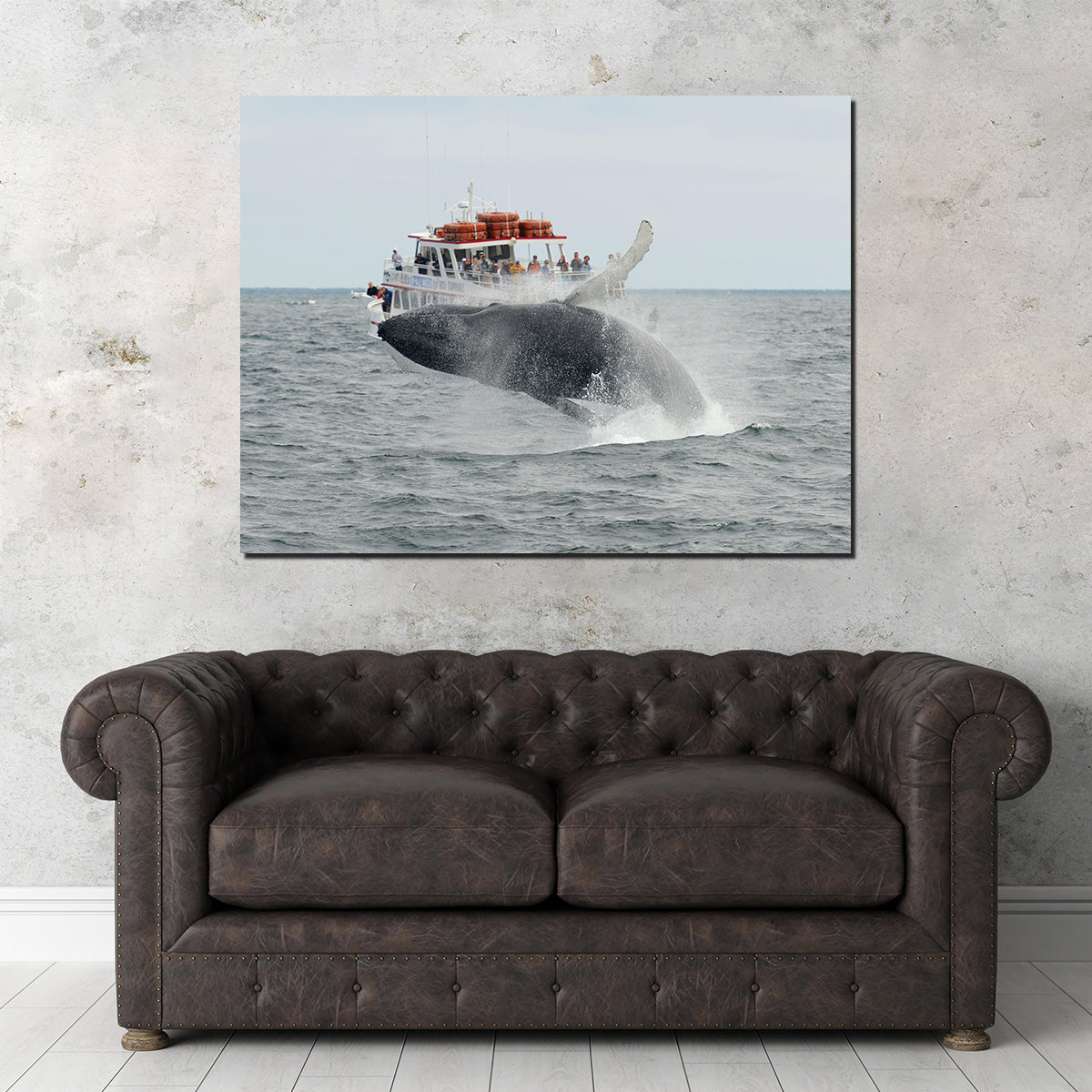 Humpback - Cape Cod Wall Art