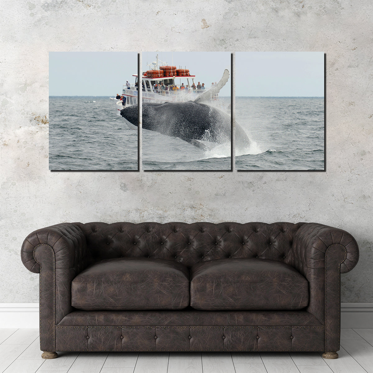 Humpback - Cape Cod Wall Art