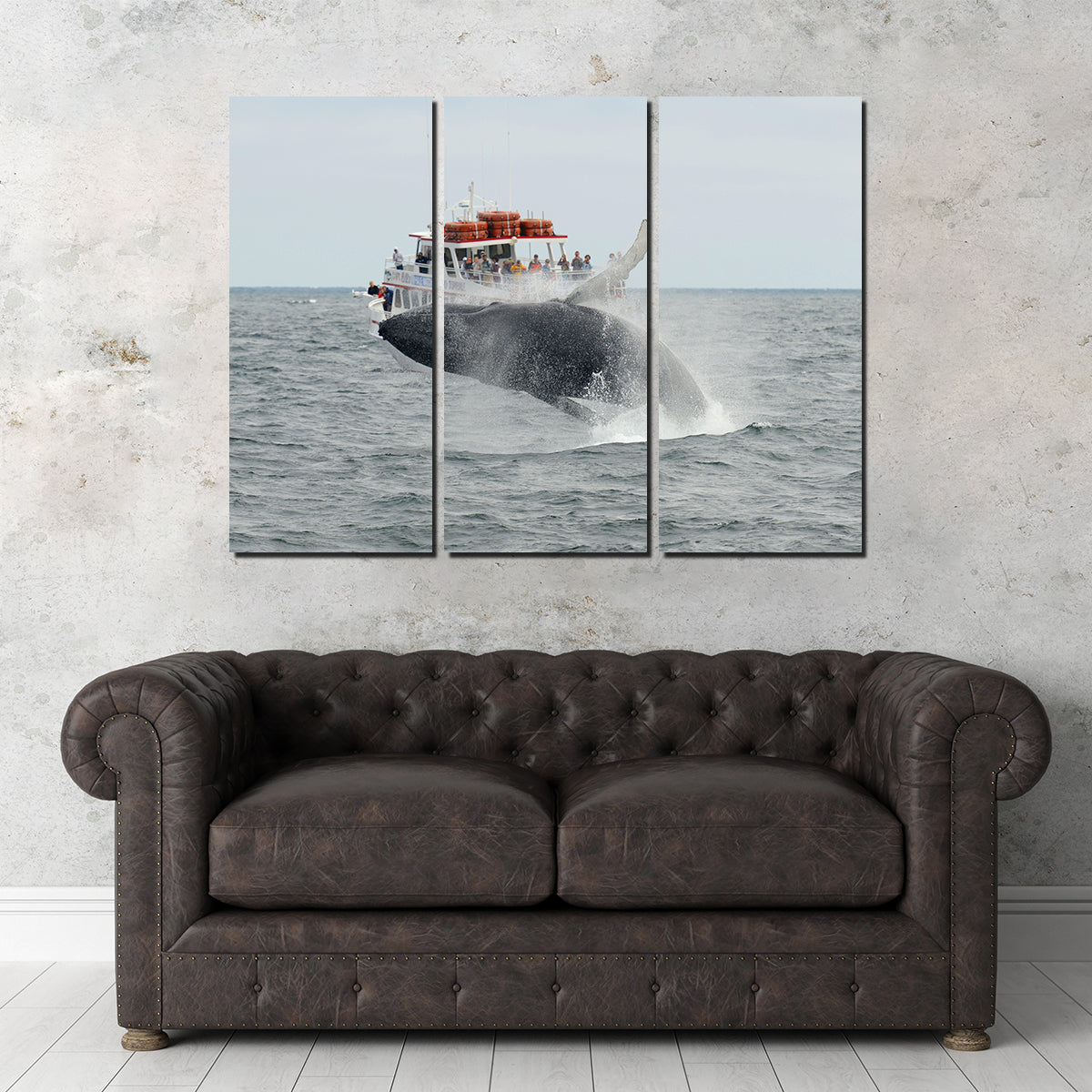 Humpback - Cape Cod Wall Art