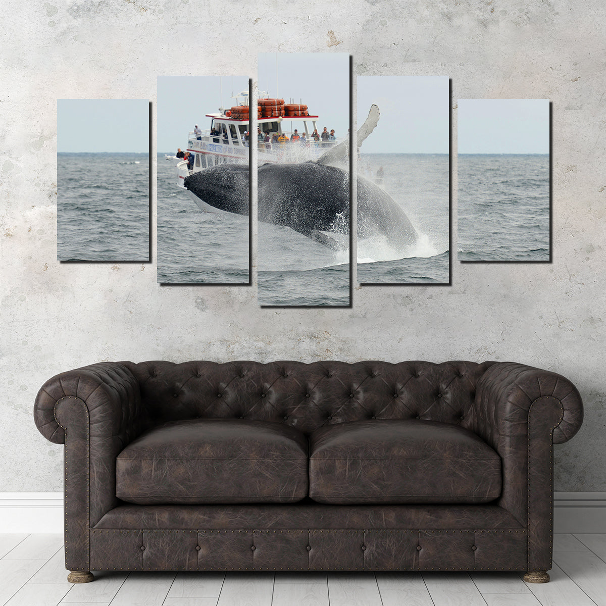 Humpback - Cape Cod Wall Art
