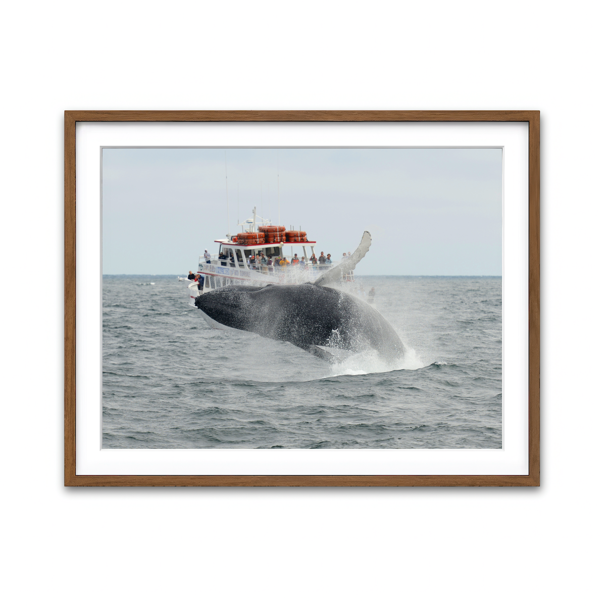 Framed Print 4x3 Walnut