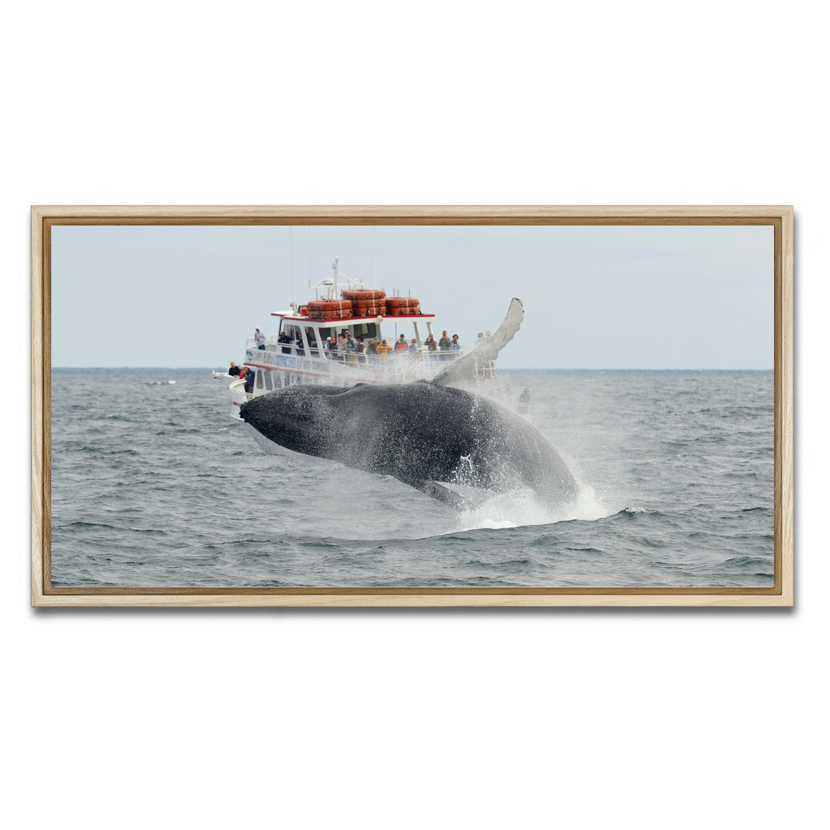 AUTO-MOCKUP WHITE | Humpback - Cape Cod | 1 Piece | Natural Framed Canvas | group=2x1