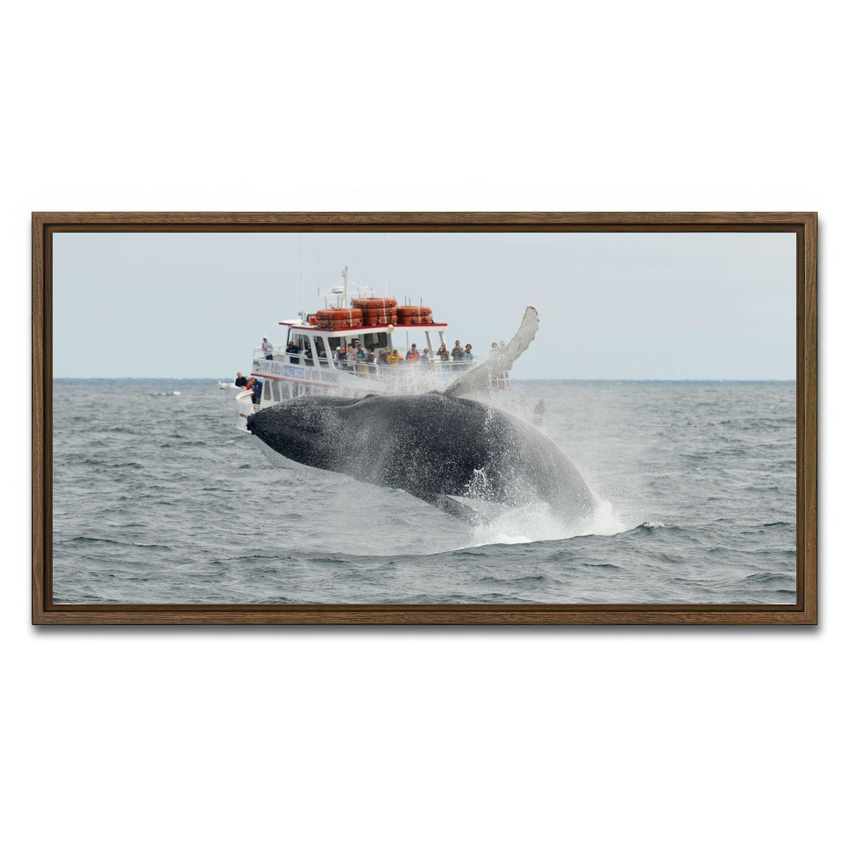 AUTO-MOCKUP WHITE | Humpback - Cape Cod | 1 Piece | Walnut Framed Canvas | group=2x1
