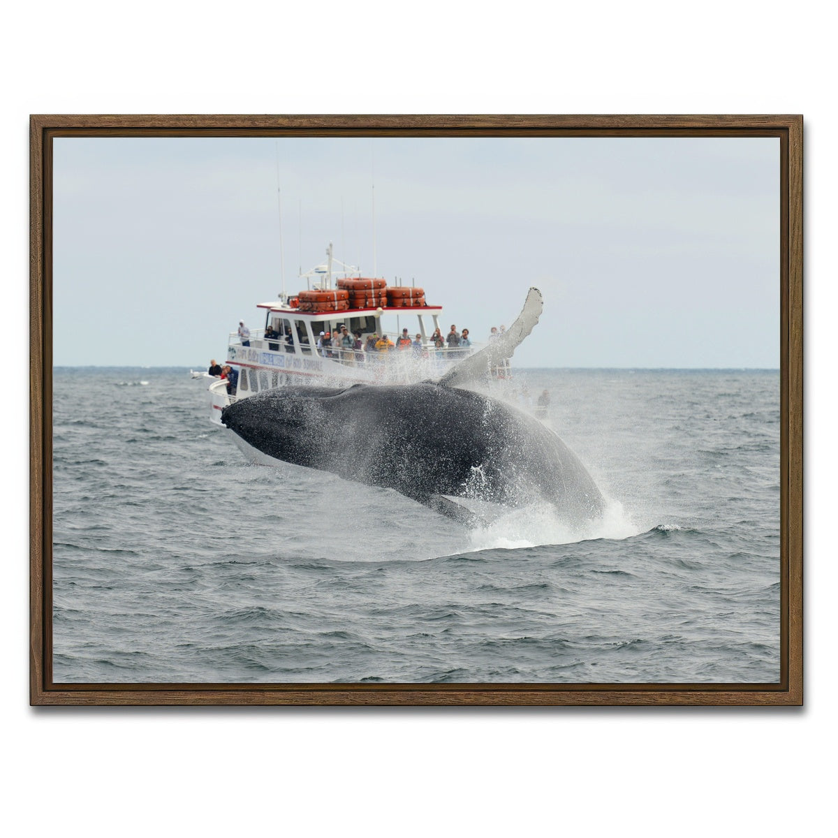 AUTO-MOCKUP WHITE | Humpback - Cape Cod | 1 Piece | Walnut Framed Canvas | group=4x3