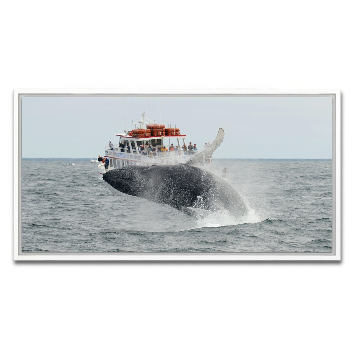 AUTO-MOCKUP WHITE | Humpback - Cape Cod | 1 Piece | White Framed Canvas | group=2x1