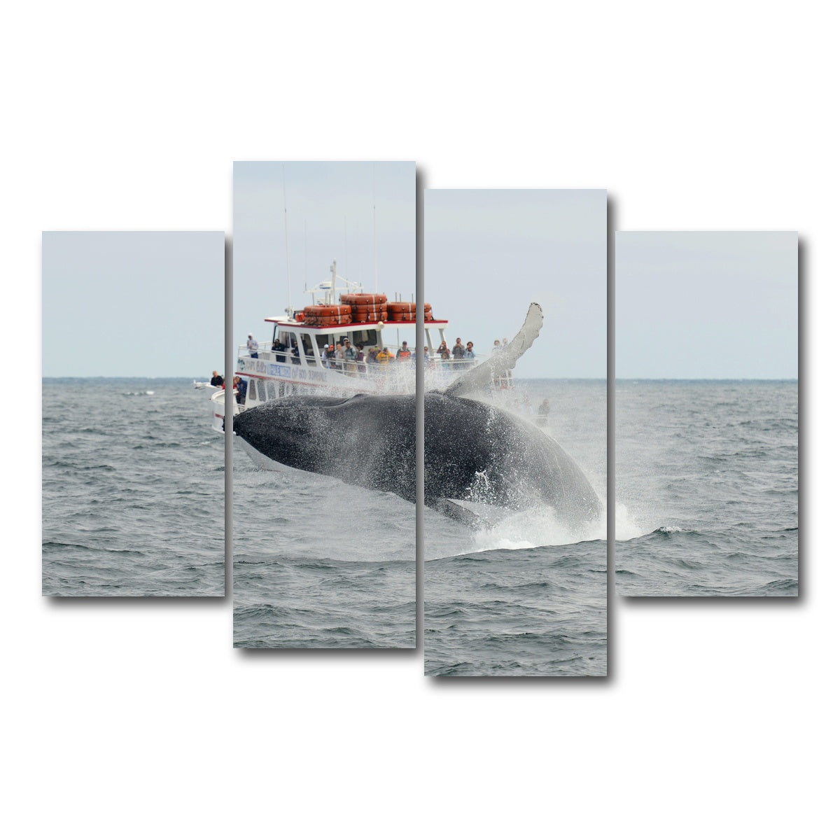 AUTO-MOCKUP WHITE | Humpback - Cape Cod | 4 Piece | Gallery Wrap Canvas | group=4_short