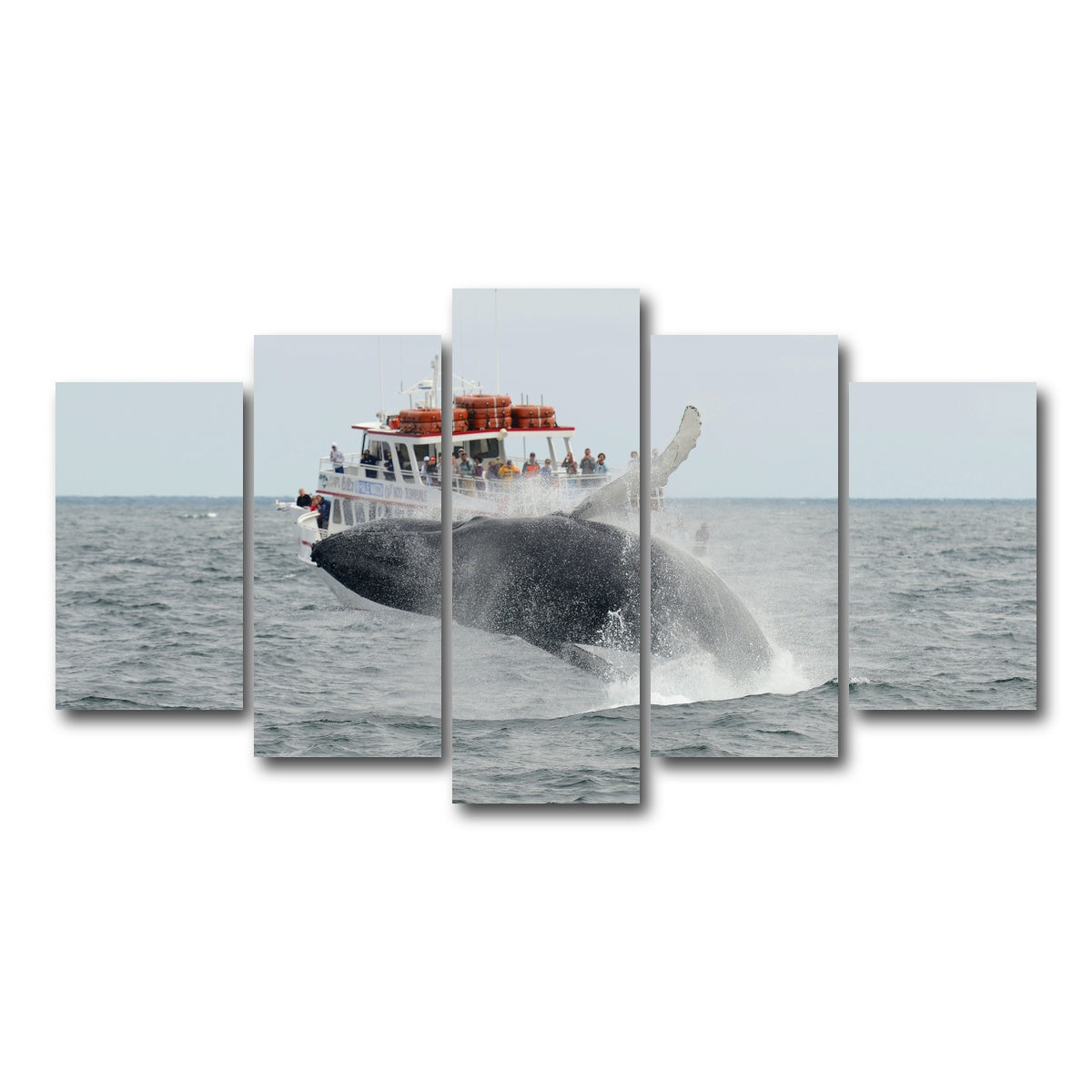 AUTO-MOCKUP WHITE | Humpback - Cape Cod | 5 Piece | Gallery Wrap Canvas | group=5_normal