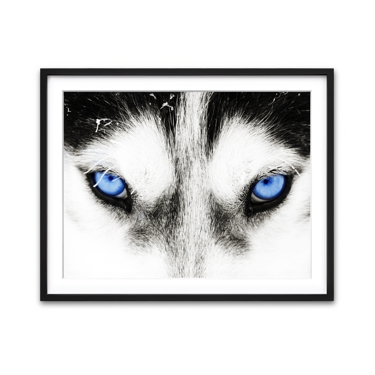 Framed Print 4x3 Black