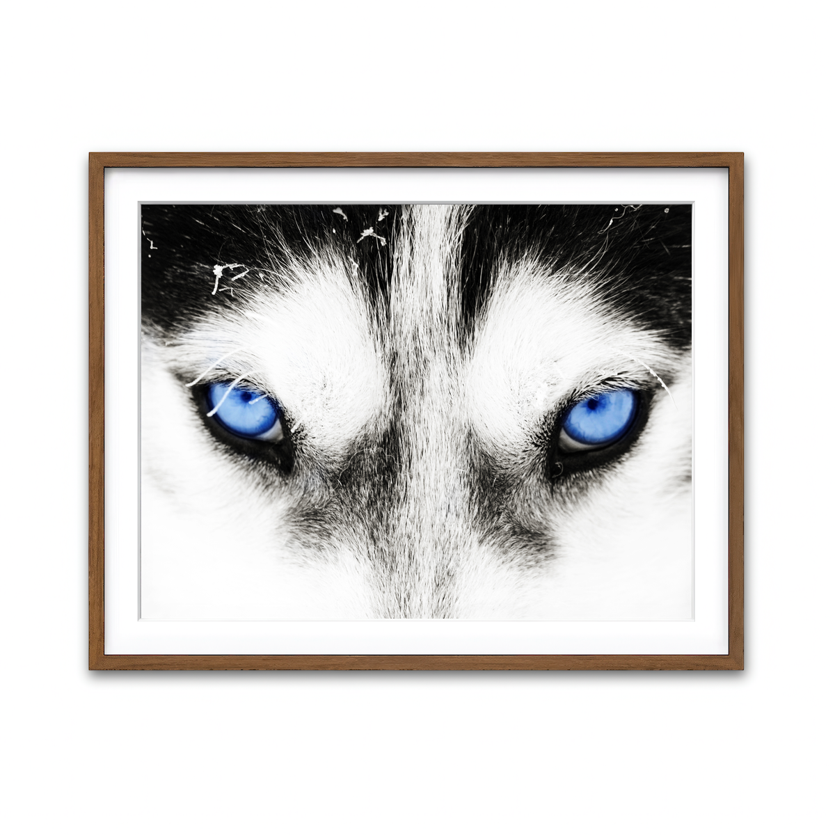 Framed Print 4x3 Walnut