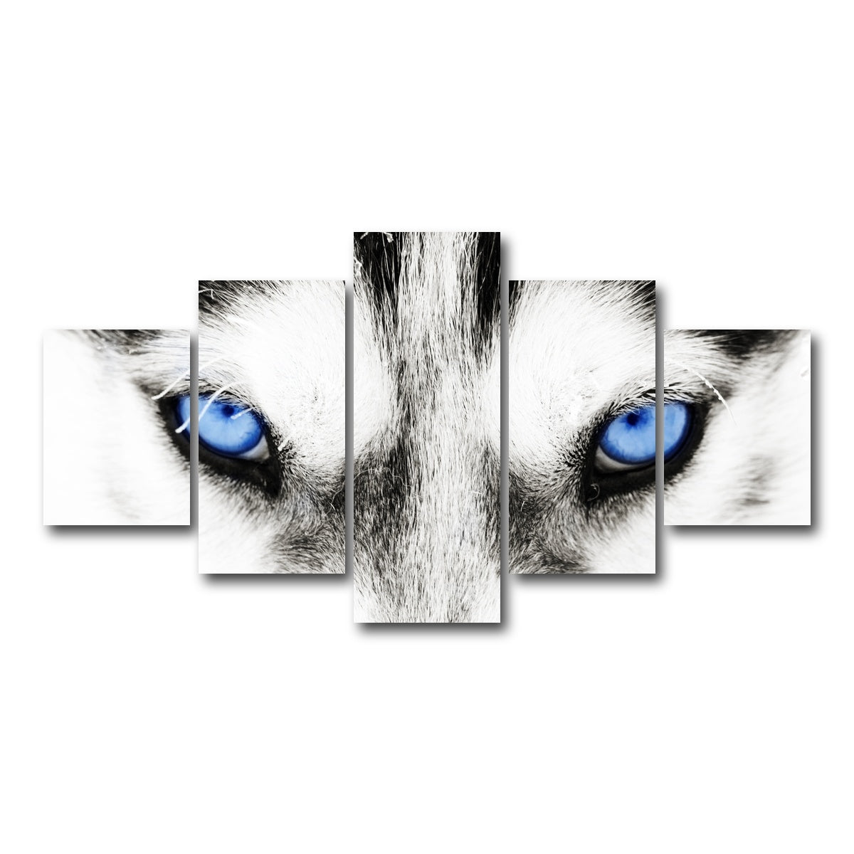 AUTO-MOCKUP WHITE | Husky Blue Eyes | 5 Piece | Gallery Wrap Canvas | group=5_short