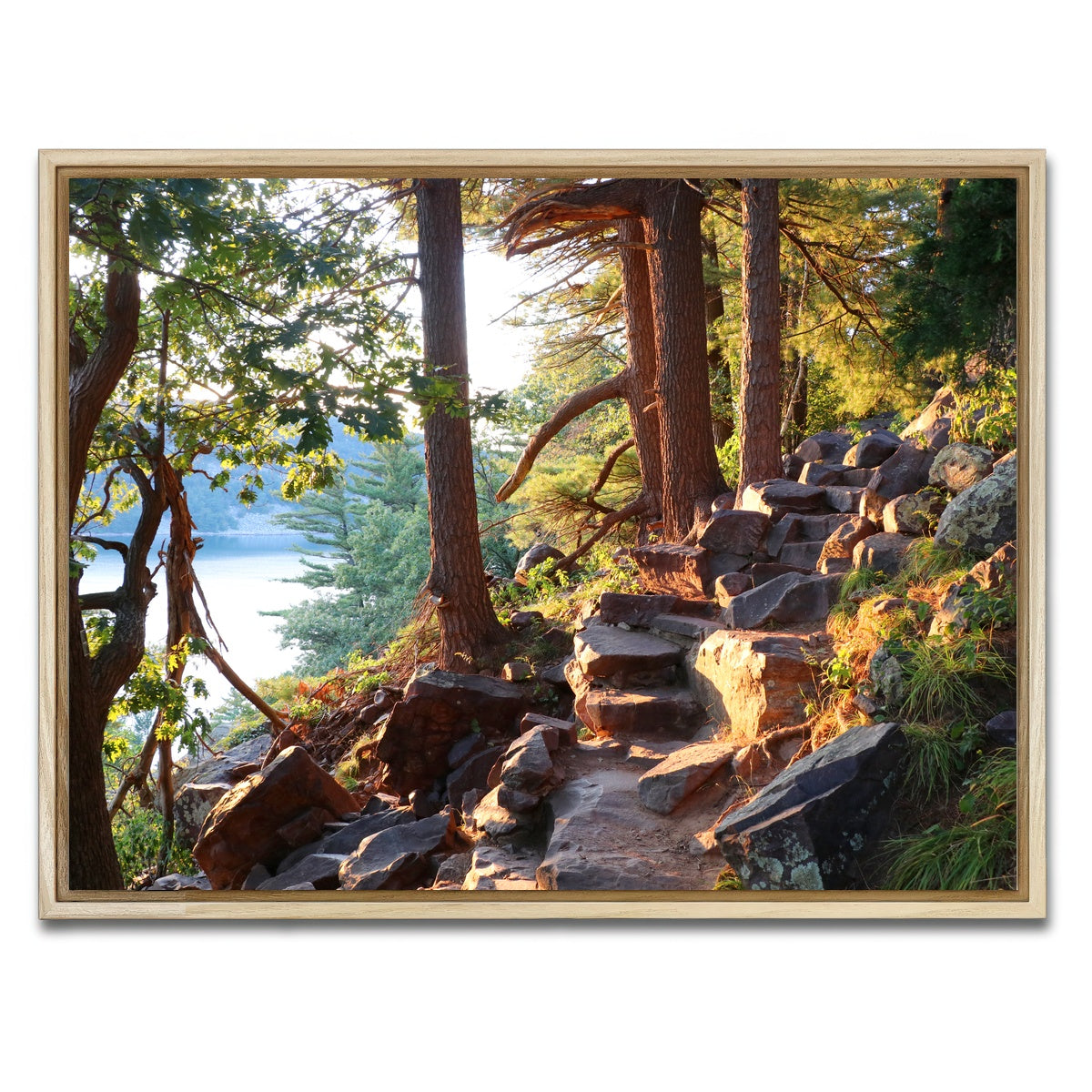 AUTO-MOCKUP WHITE | Ice Age Trail | 1 Piece | Natural Framed Canvas | group=4x3
