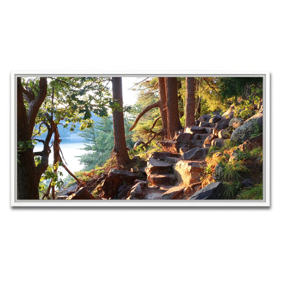 AUTO-MOCKUP WHITE | Ice Age Trail | 1 Piece | White Framed Canvas | group=2x1