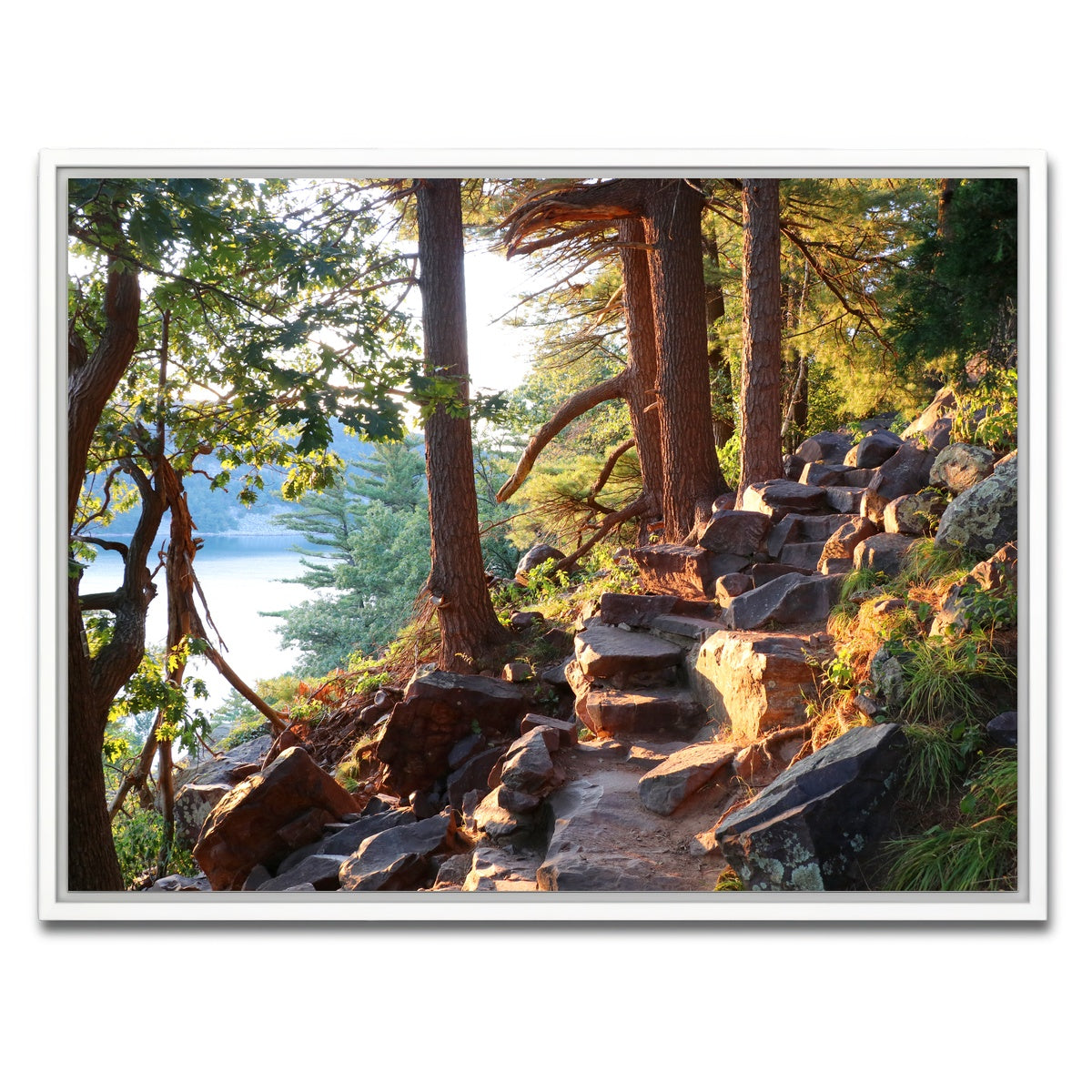 AUTO-MOCKUP WHITE | Ice Age Trail | 1 Piece | White Framed Canvas | group=4x3