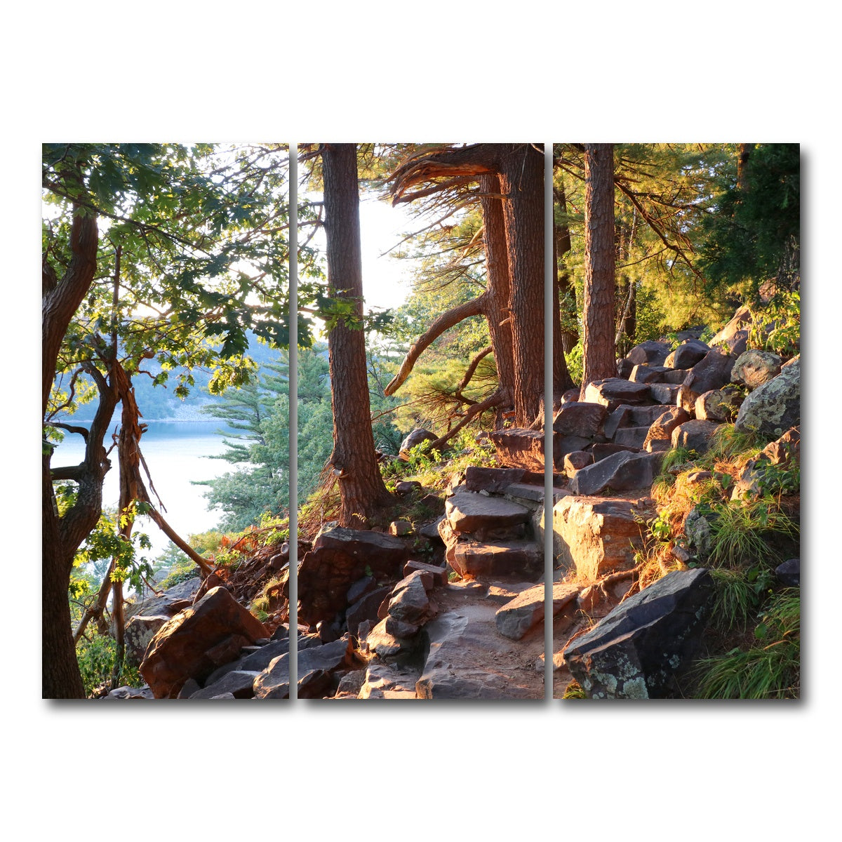 AUTO-MOCKUP WHITE | Ice Age Trail | 3 Piece | Gallery Wrap Canvas | group=8x18