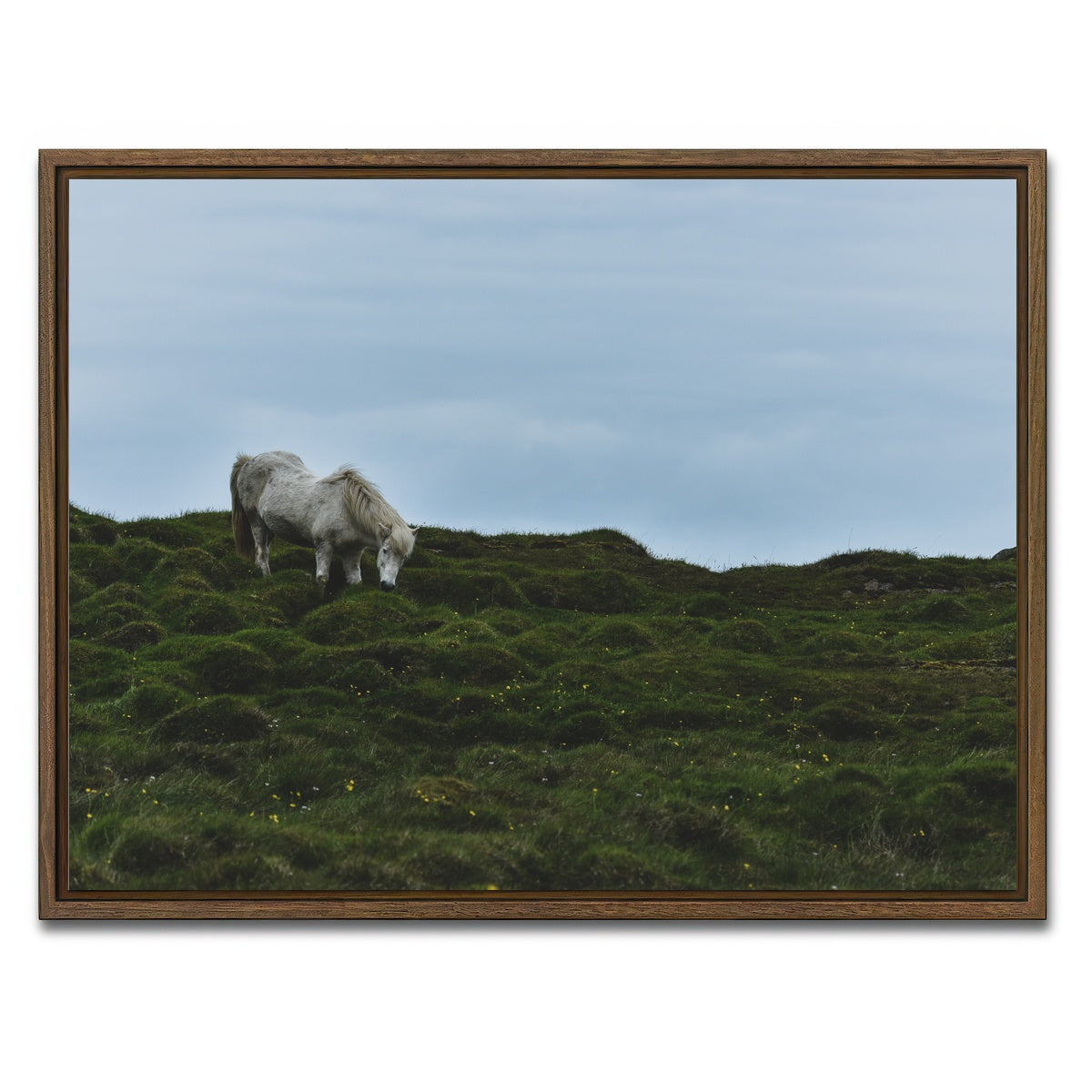 AUTO-MOCKUP WHITE | Icelandic Horse | 1 Piece | Walnut Framed Canvas | group=4x3