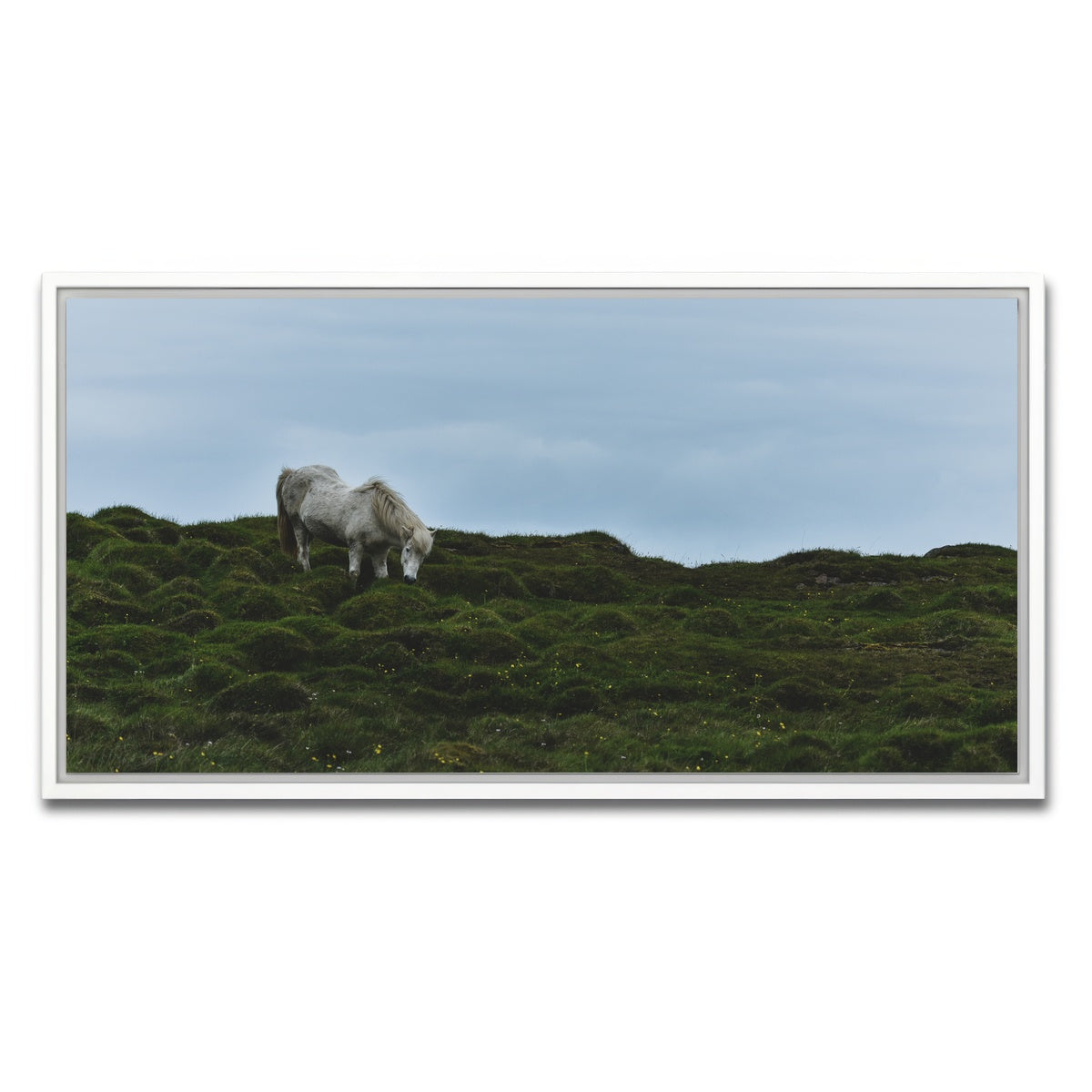 AUTO-MOCKUP WHITE | Icelandic Horse | 1 Piece | White Framed Canvas | group=2x1