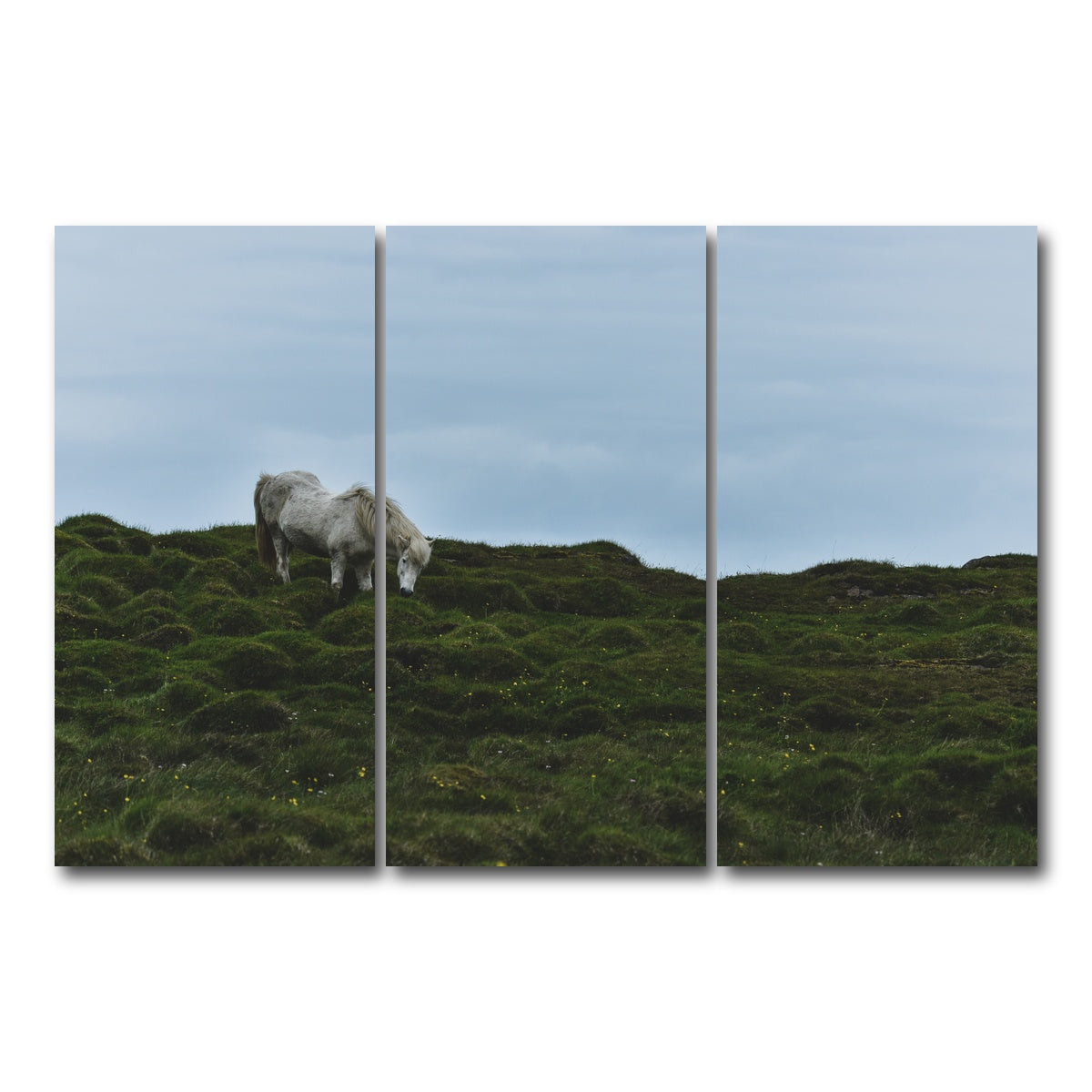 AUTO-MOCKUP WHITE | Icelandic Horse | 3 Piece | Gallery Wrap Canvas | group=12x24