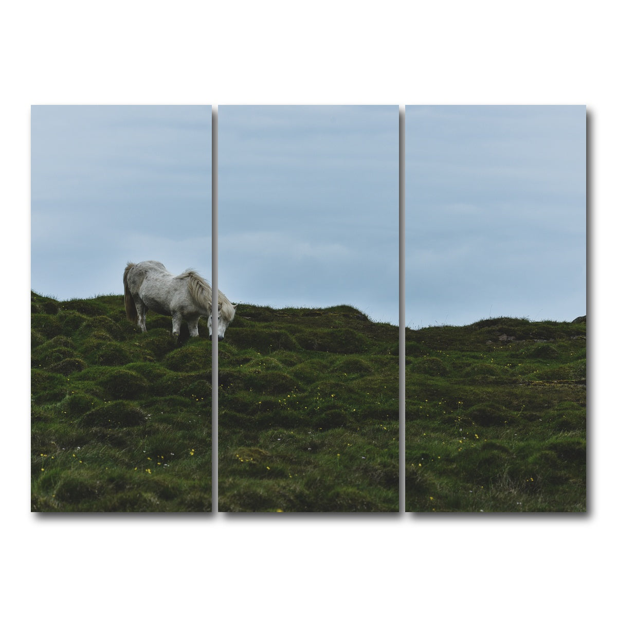 AUTO-MOCKUP WHITE | Icelandic Horse | 3 Piece | Gallery Wrap Canvas | group=8x18
