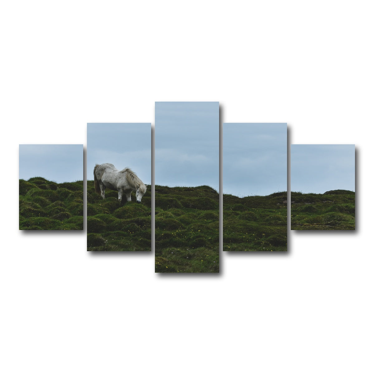 AUTO-MOCKUP WHITE | Icelandic Horse | 5 Piece | Gallery Wrap Canvas | group=5_short