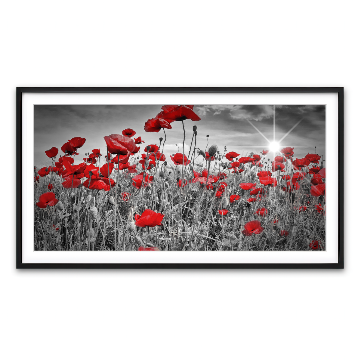 Framed Print 2x1 Black