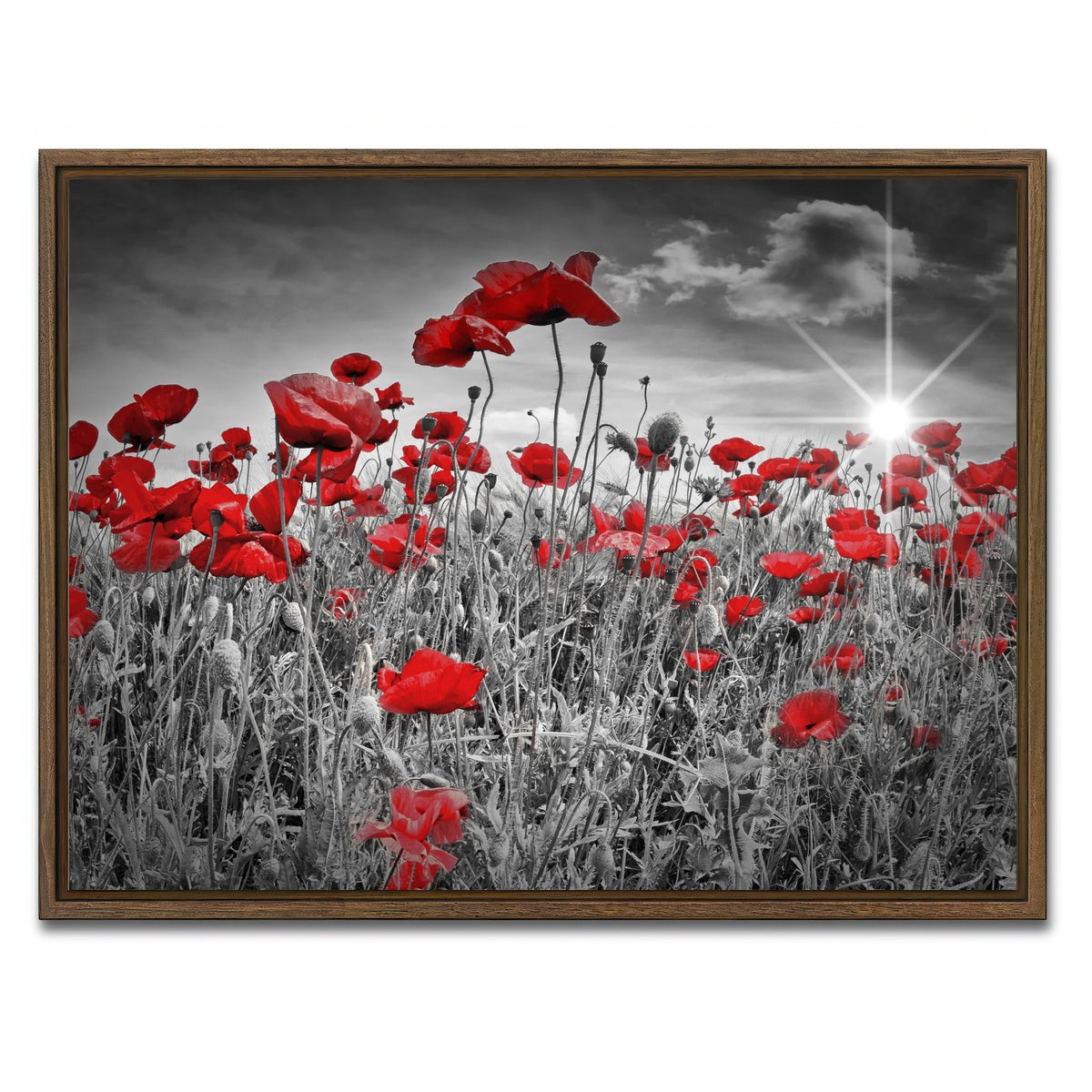 AUTO-MOCKUP WHITE | Idyllic Field of Poppies with Sun | 1 Piece | Walnut Framed Canvas | group=4x3