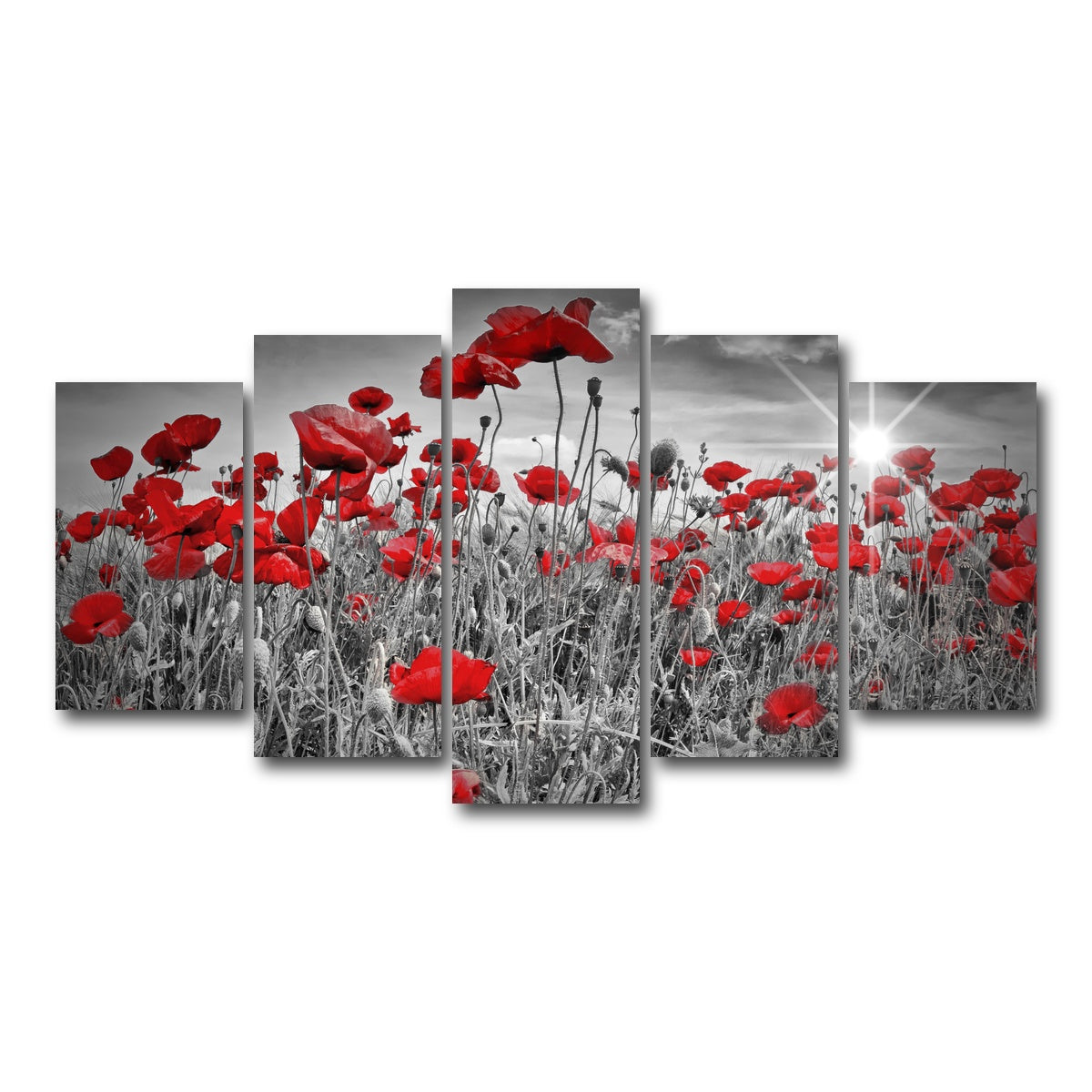 AUTO-MOCKUP WHITE | Idyllic Field of Poppies with Sun | 5 Piece | Gallery Wrap Canvas | group=5_normal