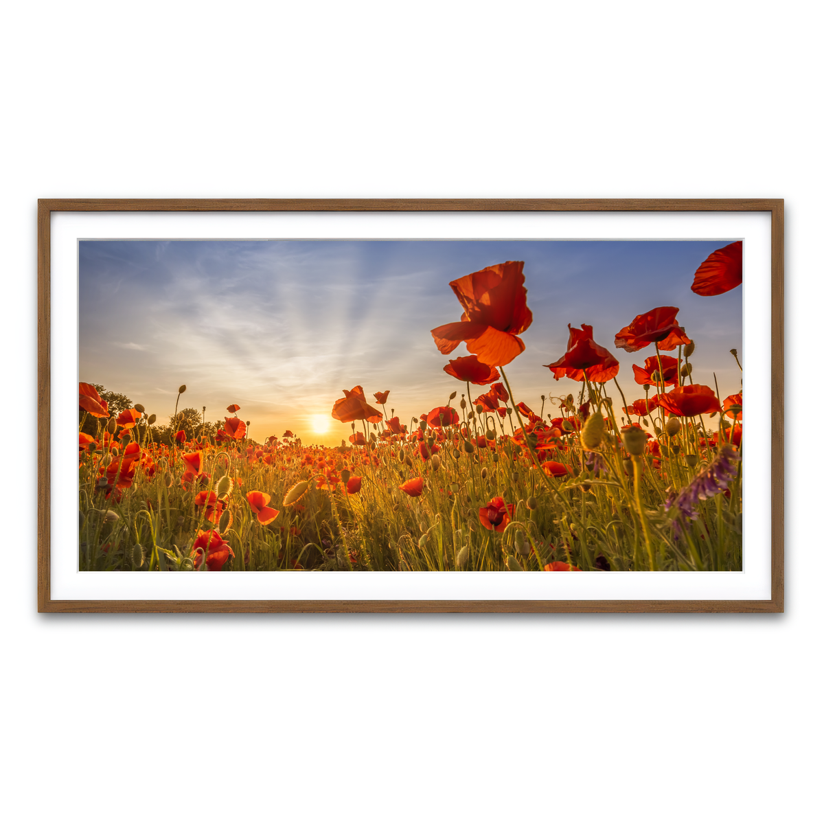 Framed Print 2x1 Walnut