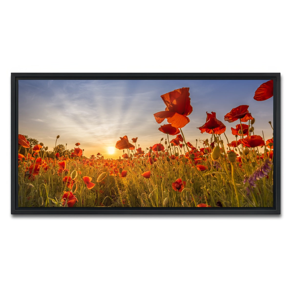 AUTO-MOCKUP WHITE | Idyllic sunset in a field of poppies | 1 Piece | Black Framed Canvas | group=2x1