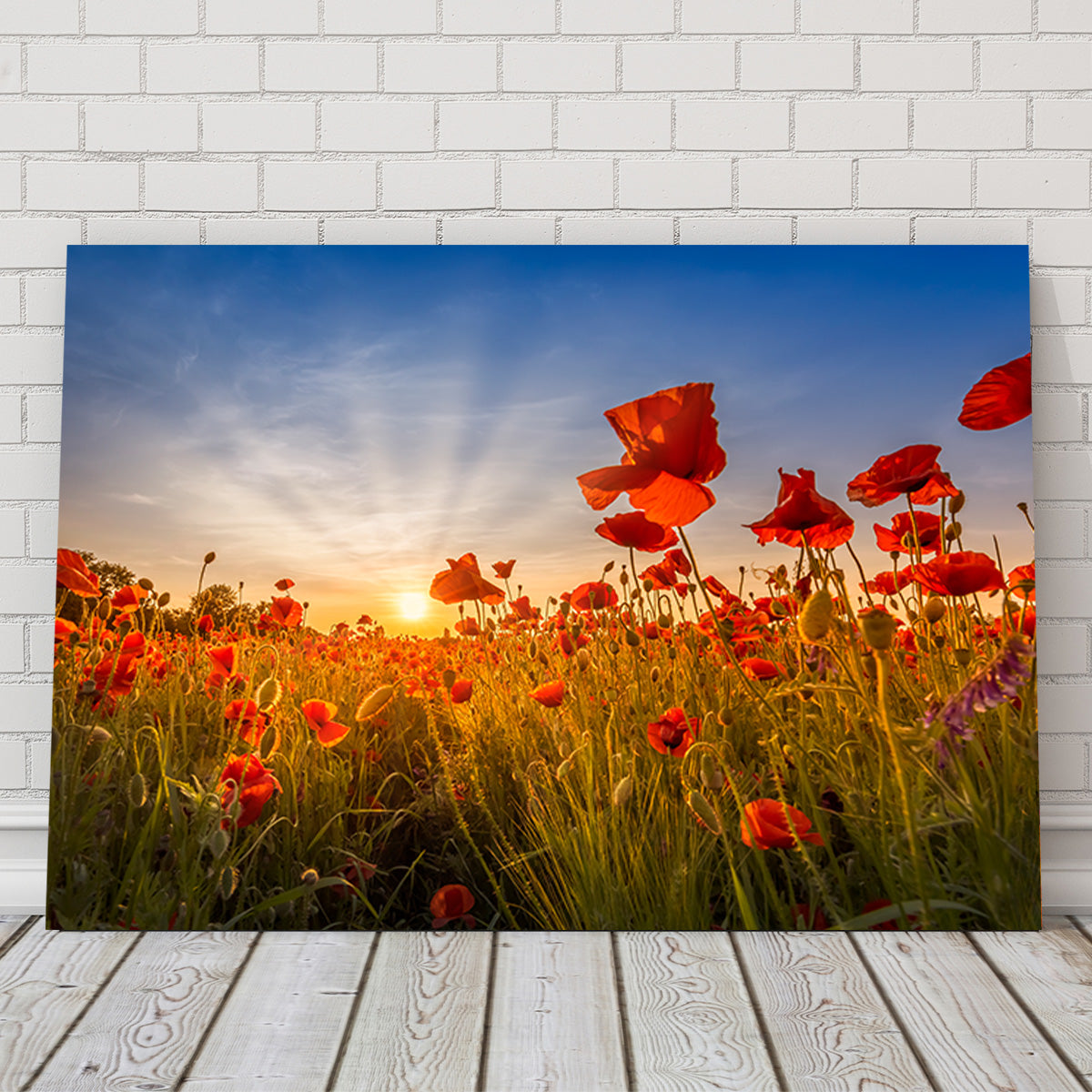 Idyllic Sunset in a Field of Poppies Wall Art
