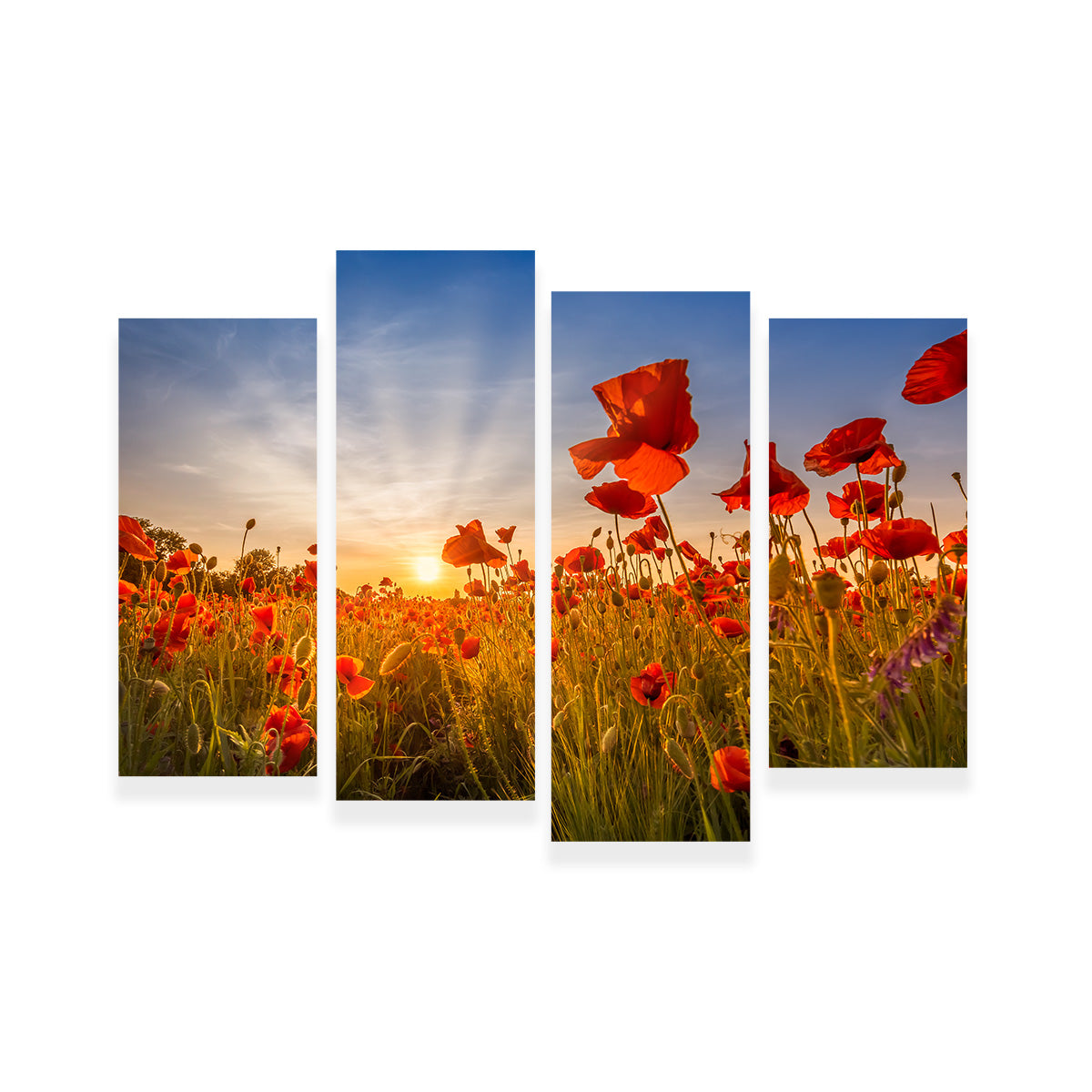 Idyllic Sunset in a Field of Poppies Wall Art