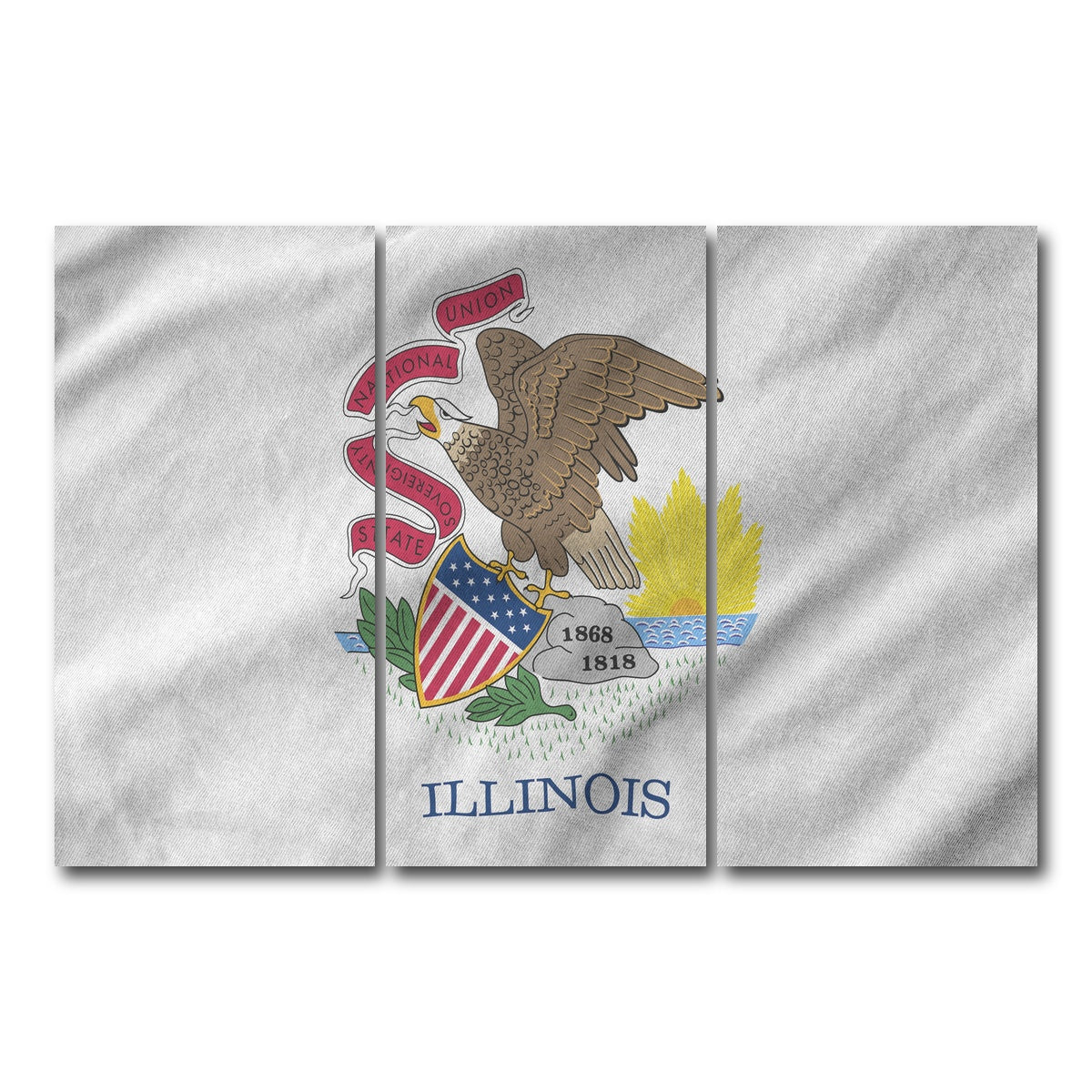 AUTO-MOCKUP WHITE | Illinois State Flag | 3 Piece | Gallery Wrap Canvas | group=12x24