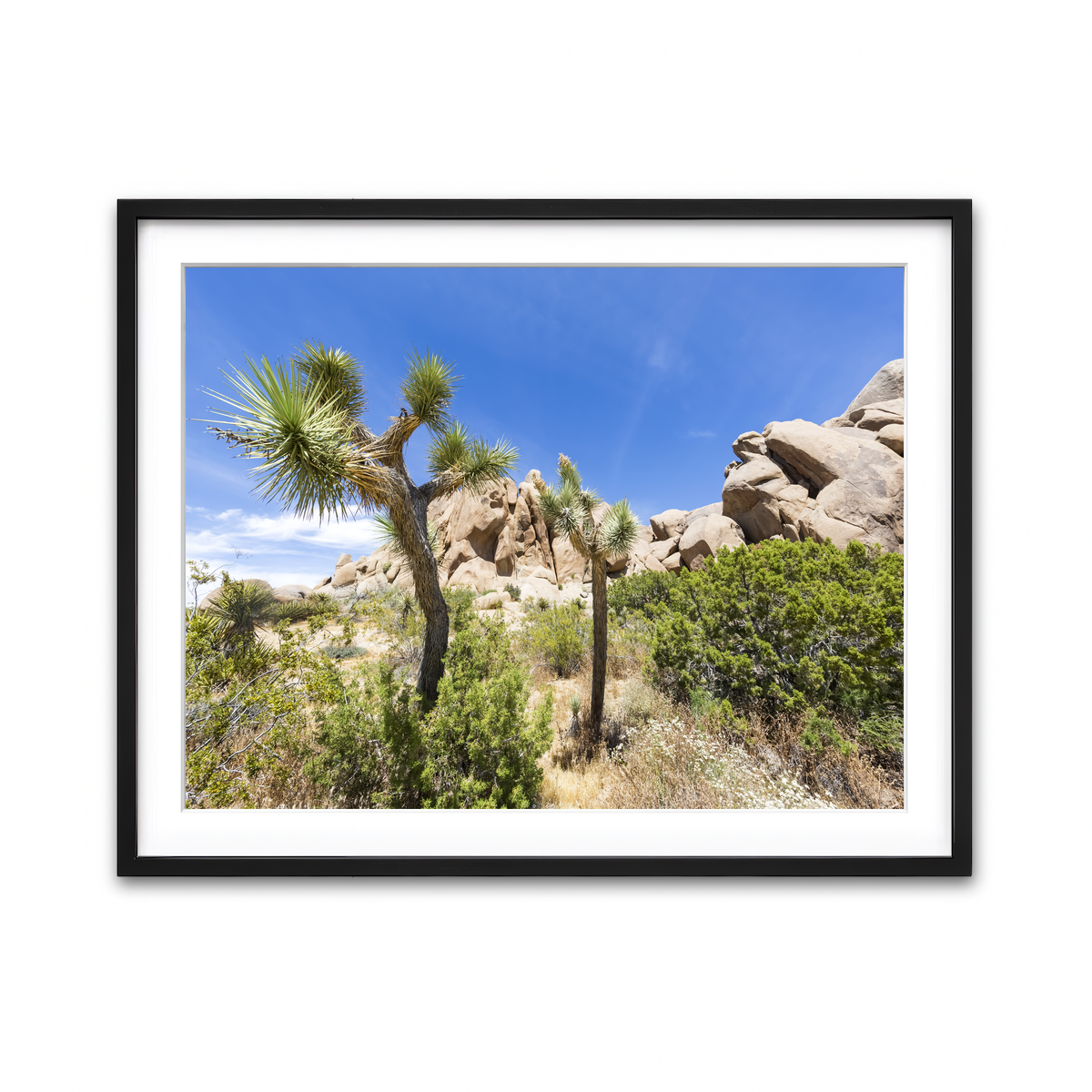 Framed Print 4x3 Black