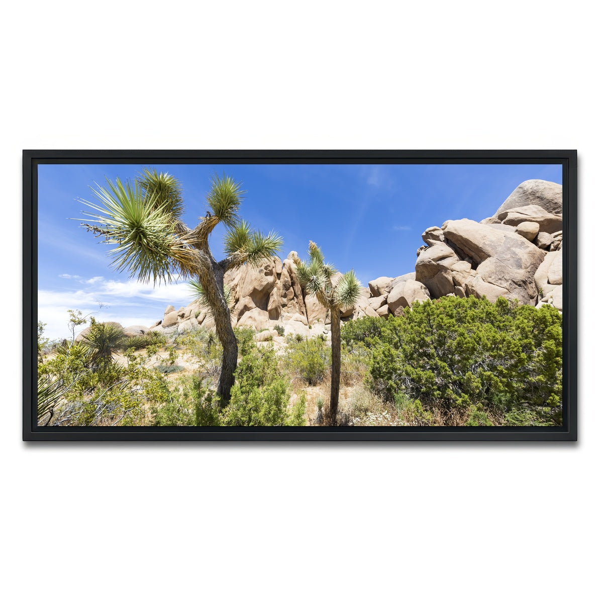 AUTO-MOCKUP WHITE | Impression from Joshua Tree National Park | 1 Piece | Black Framed Canvas | group=2x1