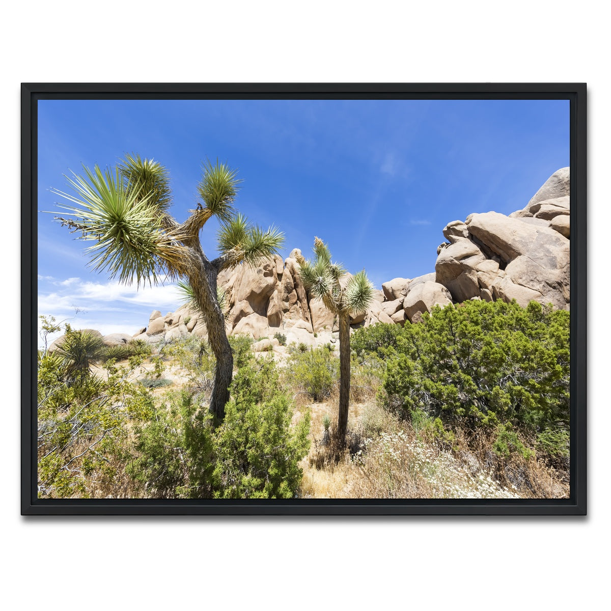AUTO-MOCKUP WHITE | Impression from Joshua Tree National Park | 1 Piece | Black Framed Canvas | group=4x3