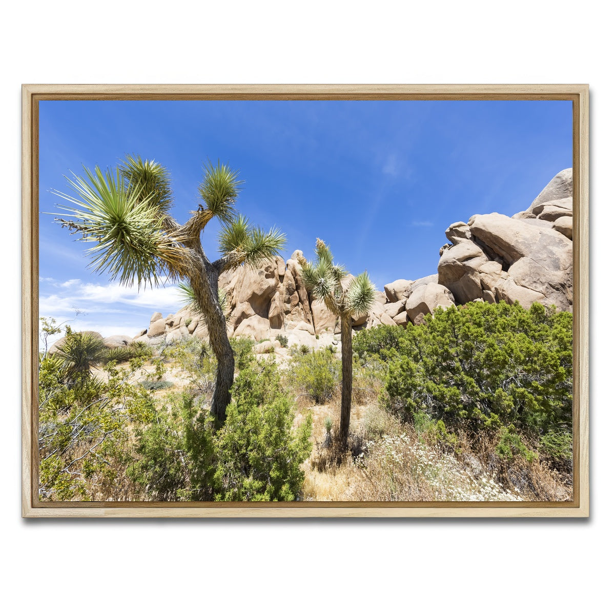 AUTO-MOCKUP WHITE | Impression from Joshua Tree National Park | 1 Piece | Natural Framed Canvas | group=4x3