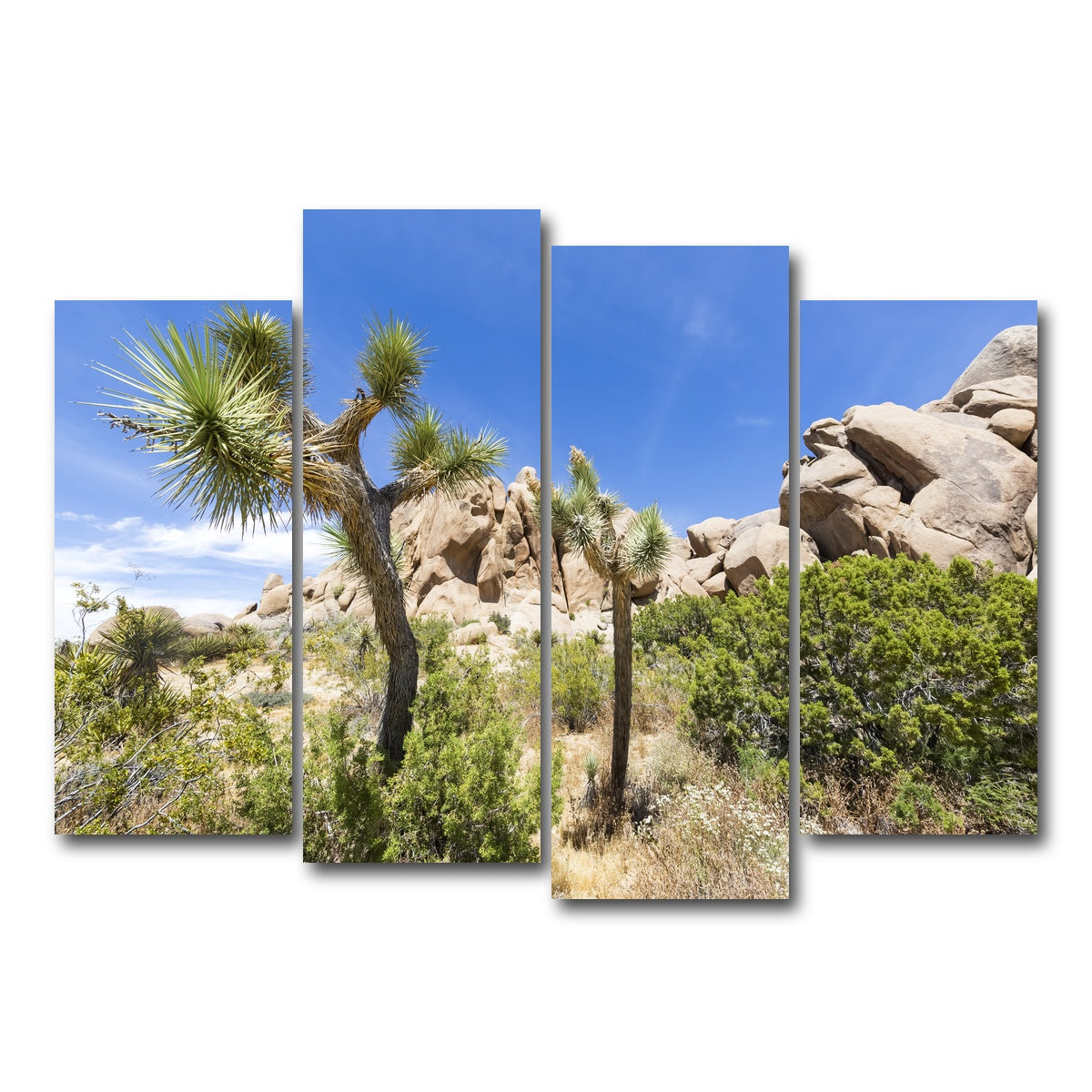 AUTO-MOCKUP WHITE | Impression from Joshua Tree National Park | 4 Piece | Gallery Wrap Canvas | group=4_normal