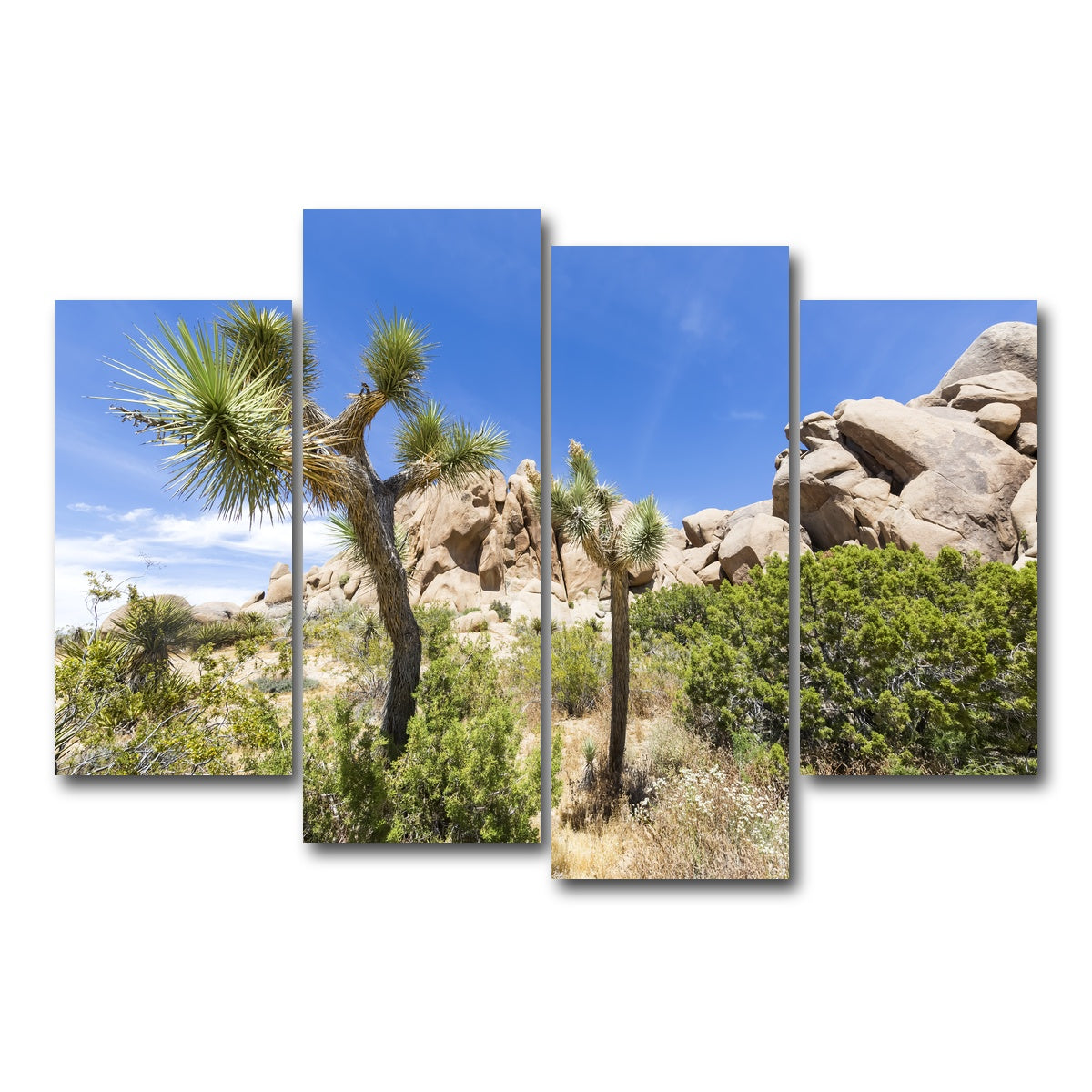 AUTO-MOCKUP WHITE | Impression from Joshua Tree National Park | 4 Piece | Gallery Wrap Canvas | group=4_short