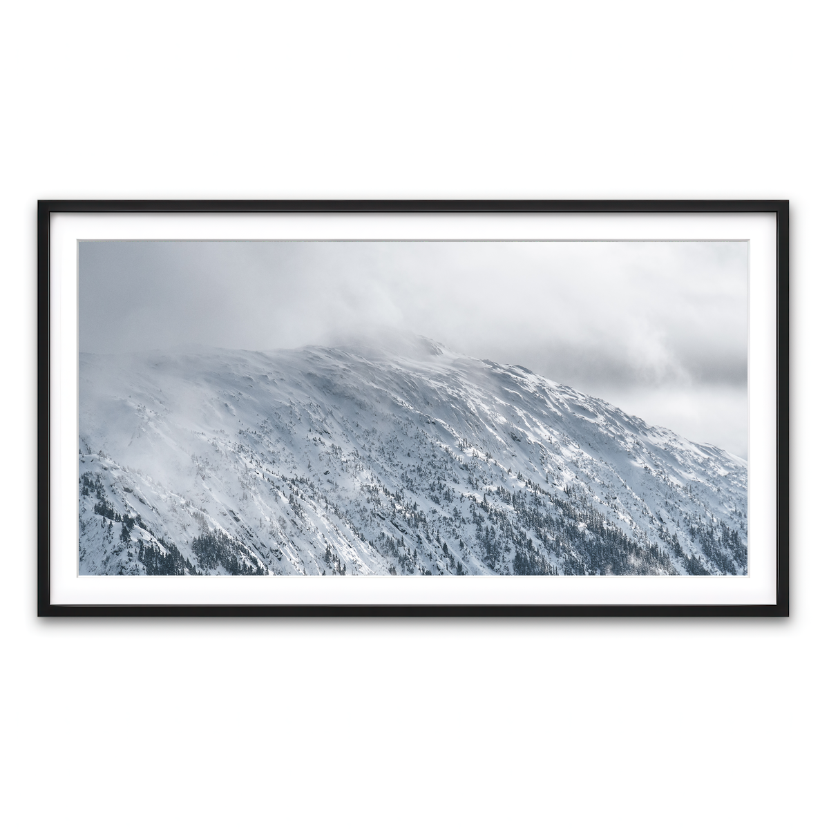 Framed Print 2x1 Black