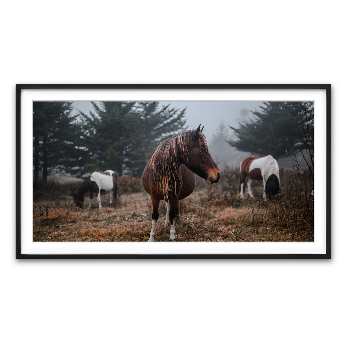 Framed Print 2x1 Black