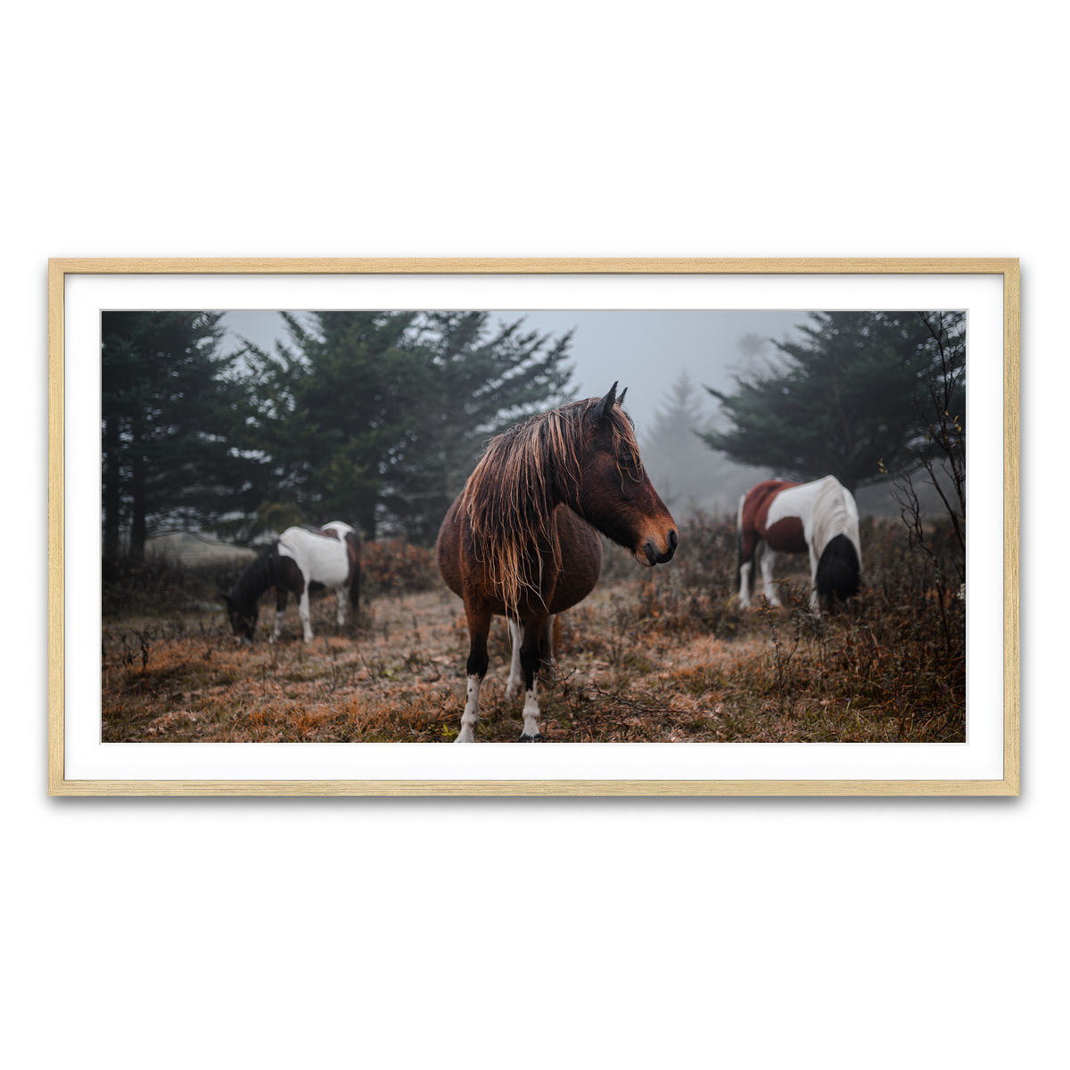 Framed Print 2x1 Natural
