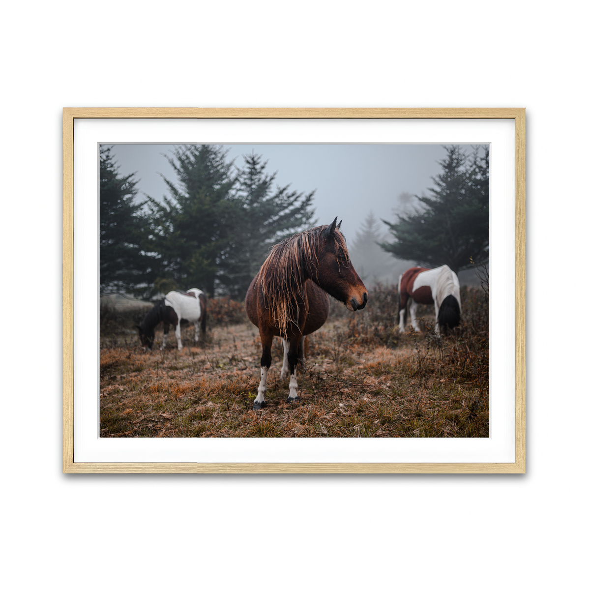 Framed Print 4x3 Natural